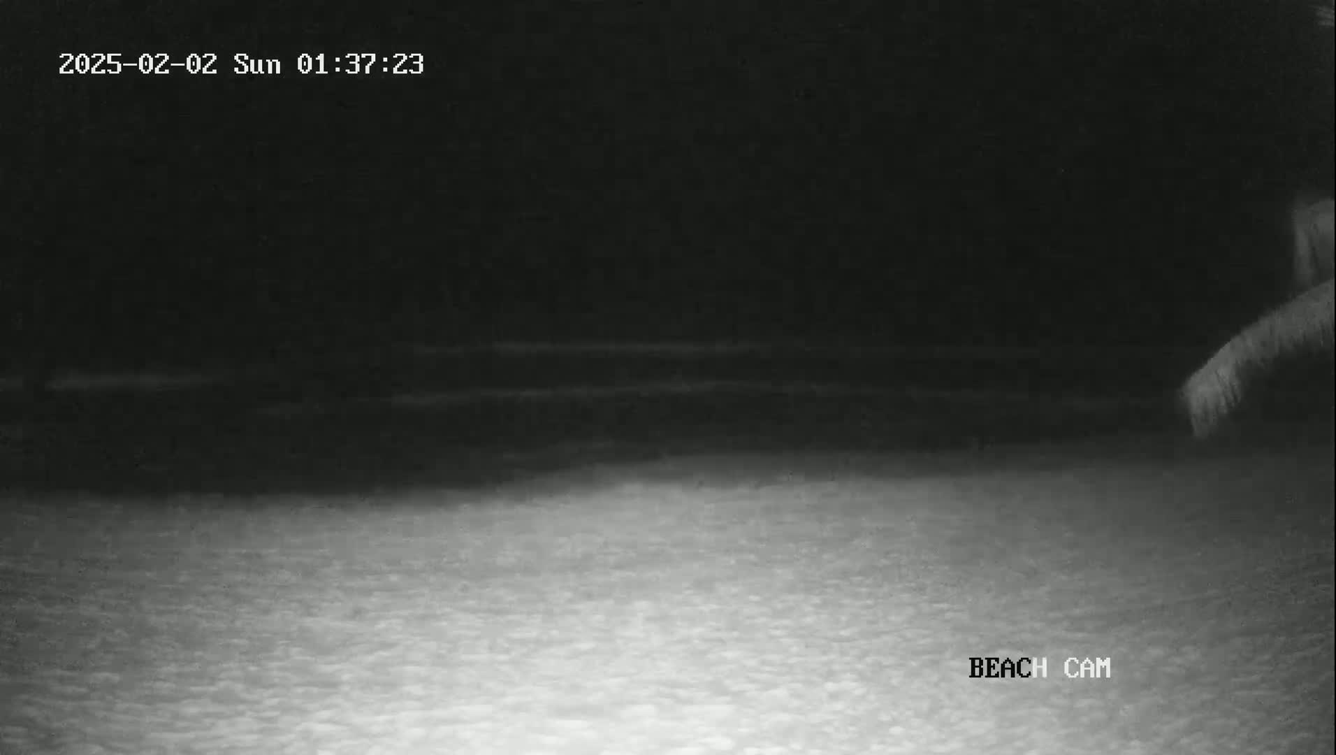 A nighttime beach scene shows dark water meeting a lighter-colored sandy shore under a dark sky.