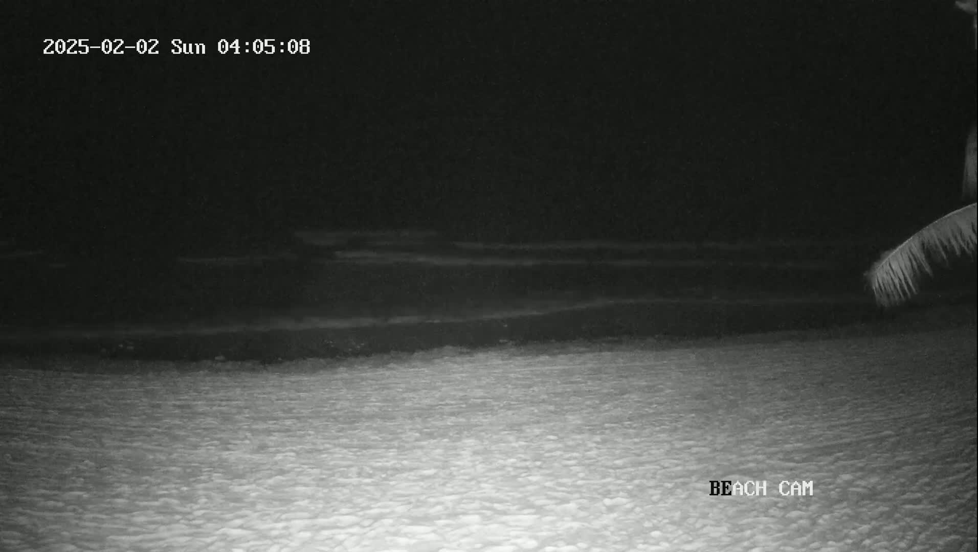 A nighttime beach scene shows dark water and a sandy shoreline under a clear, dark sky.