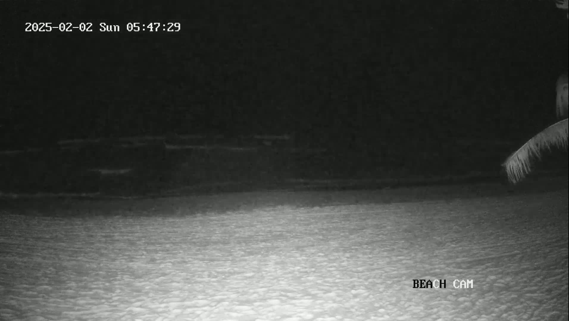 A nighttime beach scene shows a dark ocean and a light-colored sandy shore under a dark sky.