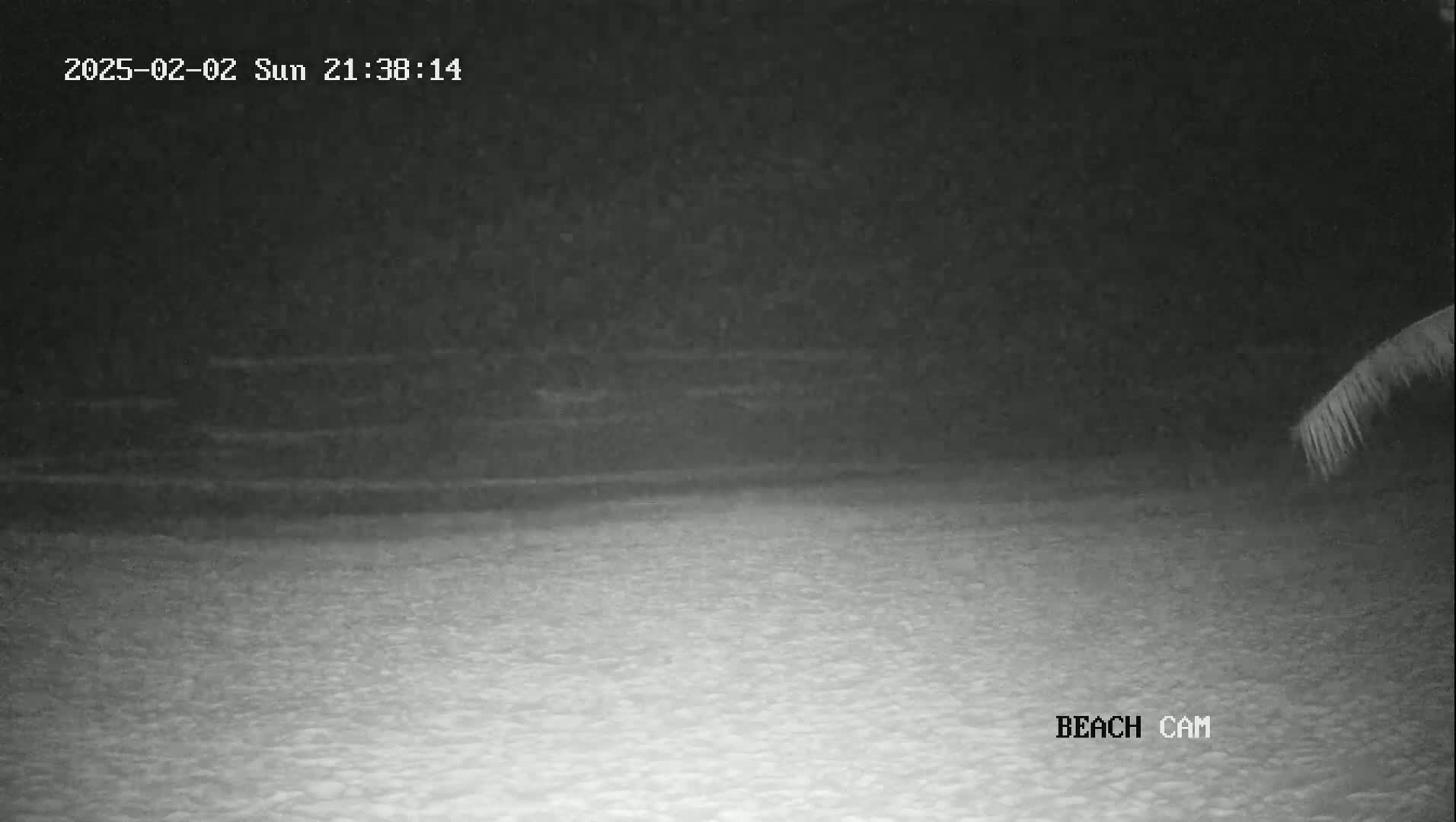 A nighttime beach scene shows a dark, sandy shoreline under a clear, dark sky, with part of a palm tree visible in the upper right corner.