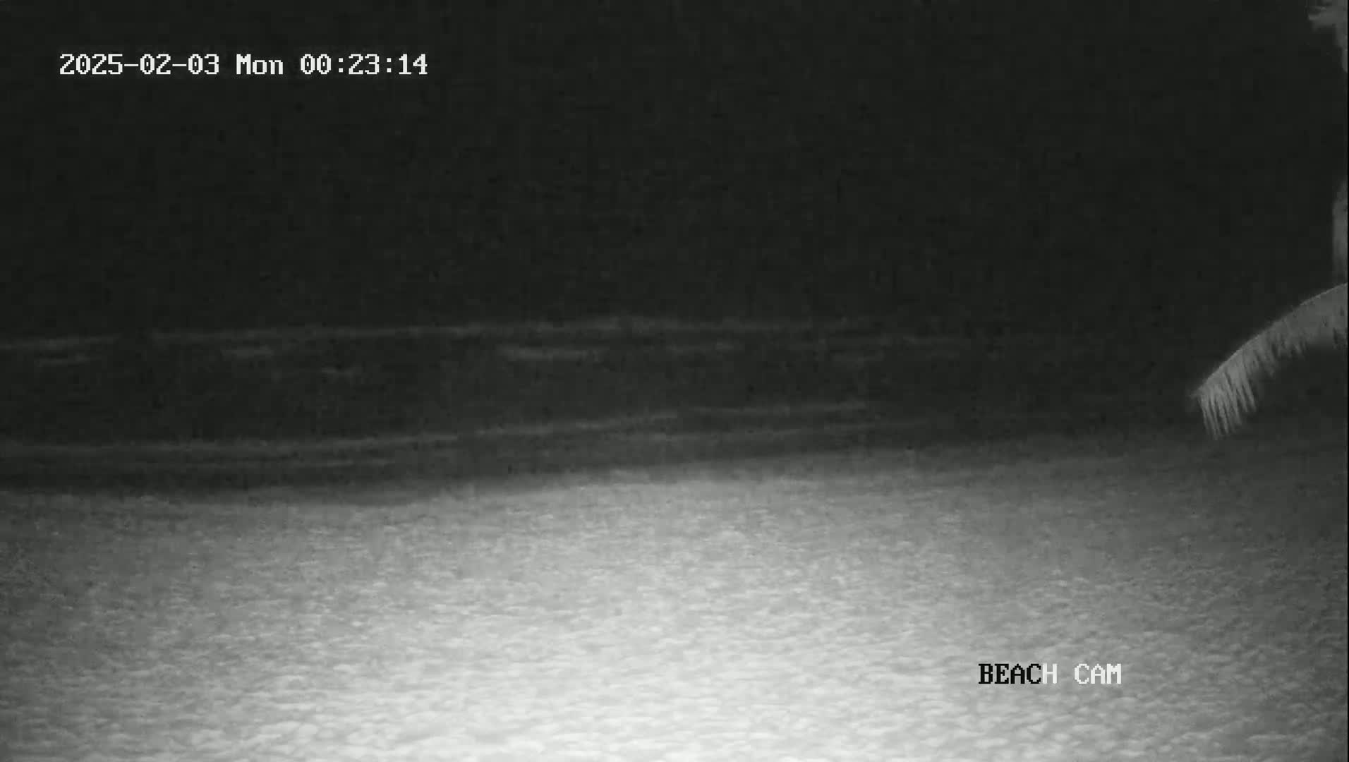 A nighttime beach scene shows dark water and a lighter-colored sandy shore under a dark sky.