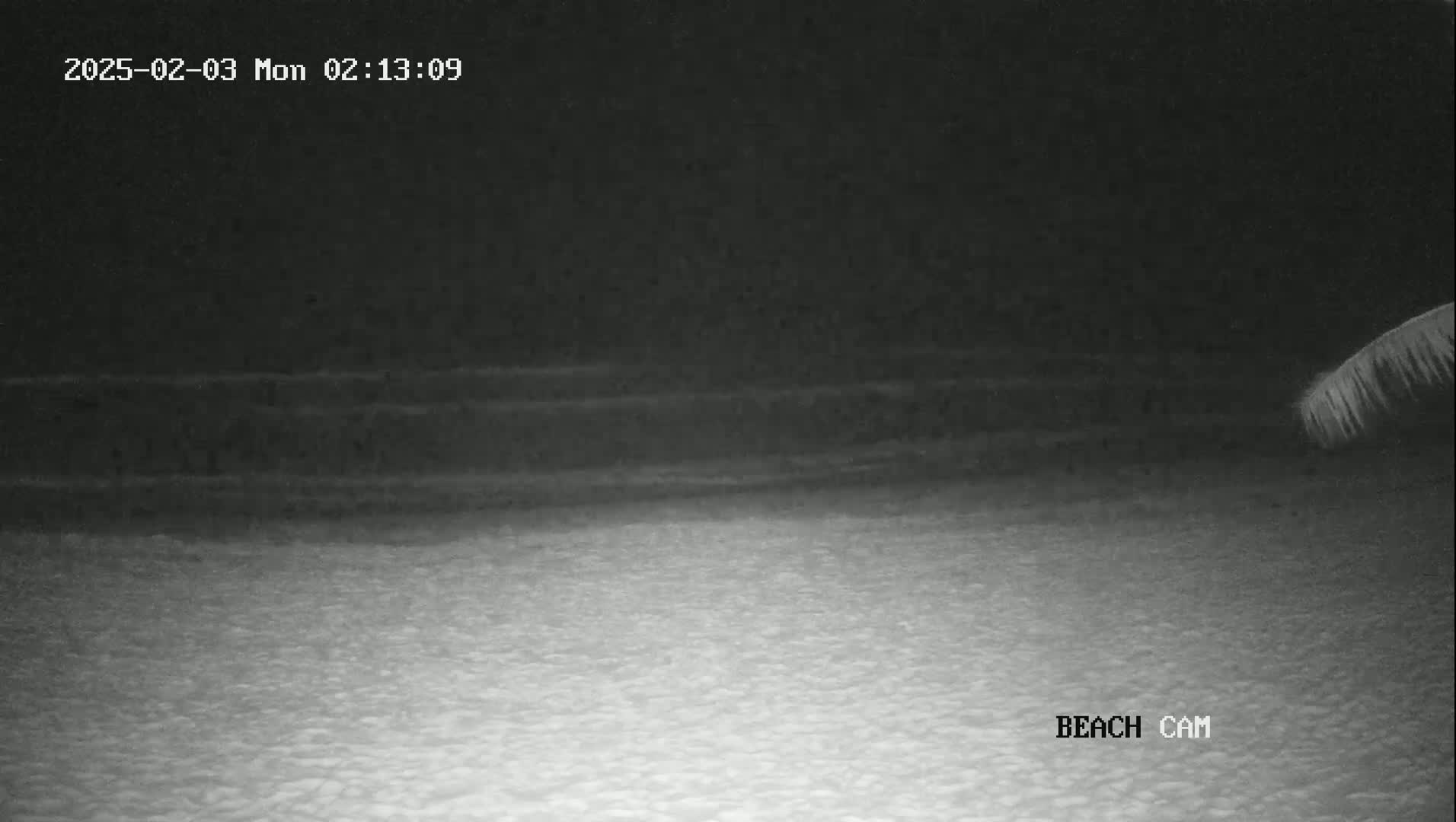 A nighttime beach scene shows dark, wavy water meeting a lighter-colored sandy shore under a dark sky.
