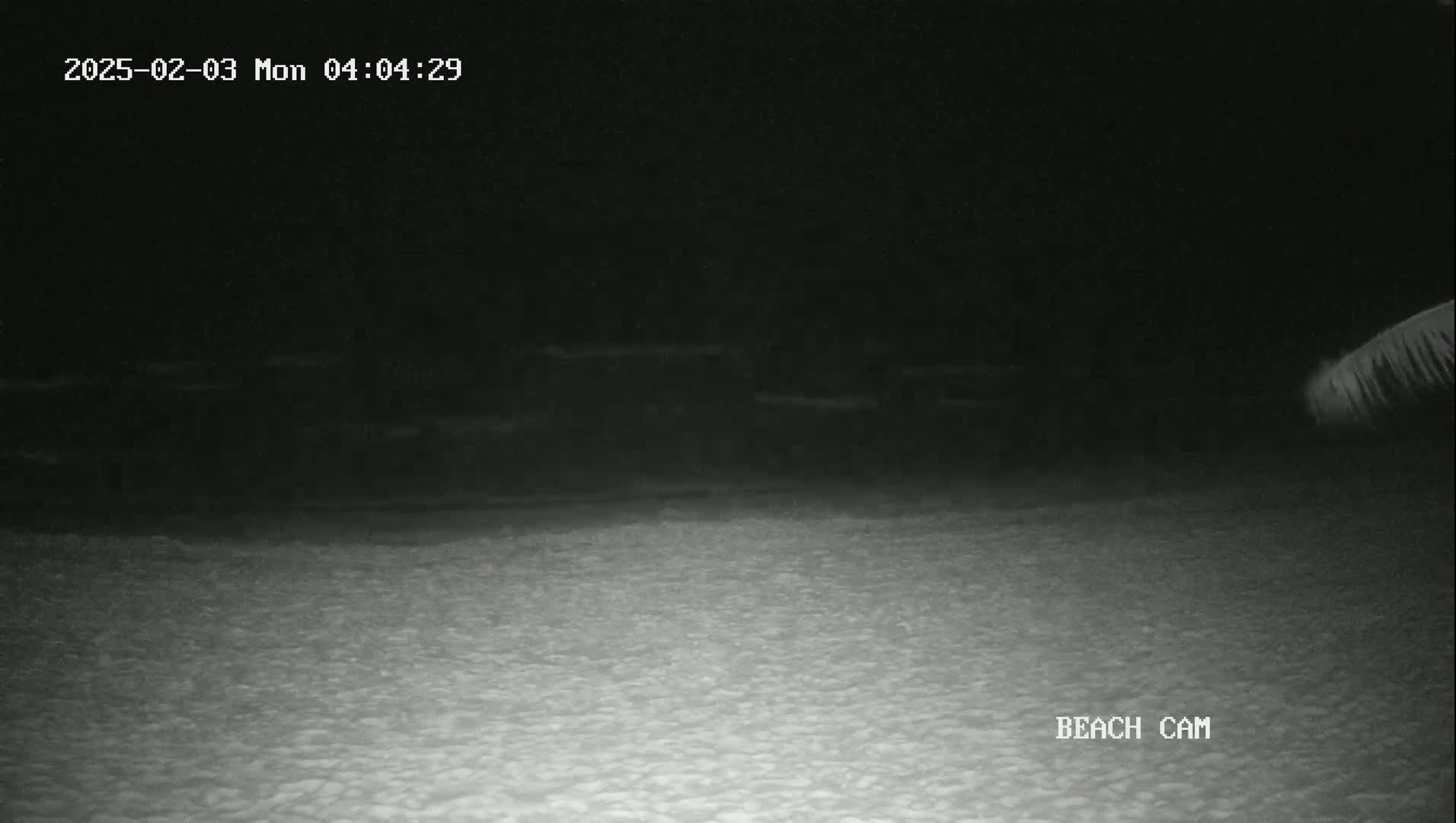 A nighttime beach scene shows dark water and a lighter colored, sandy shore under a dark sky.