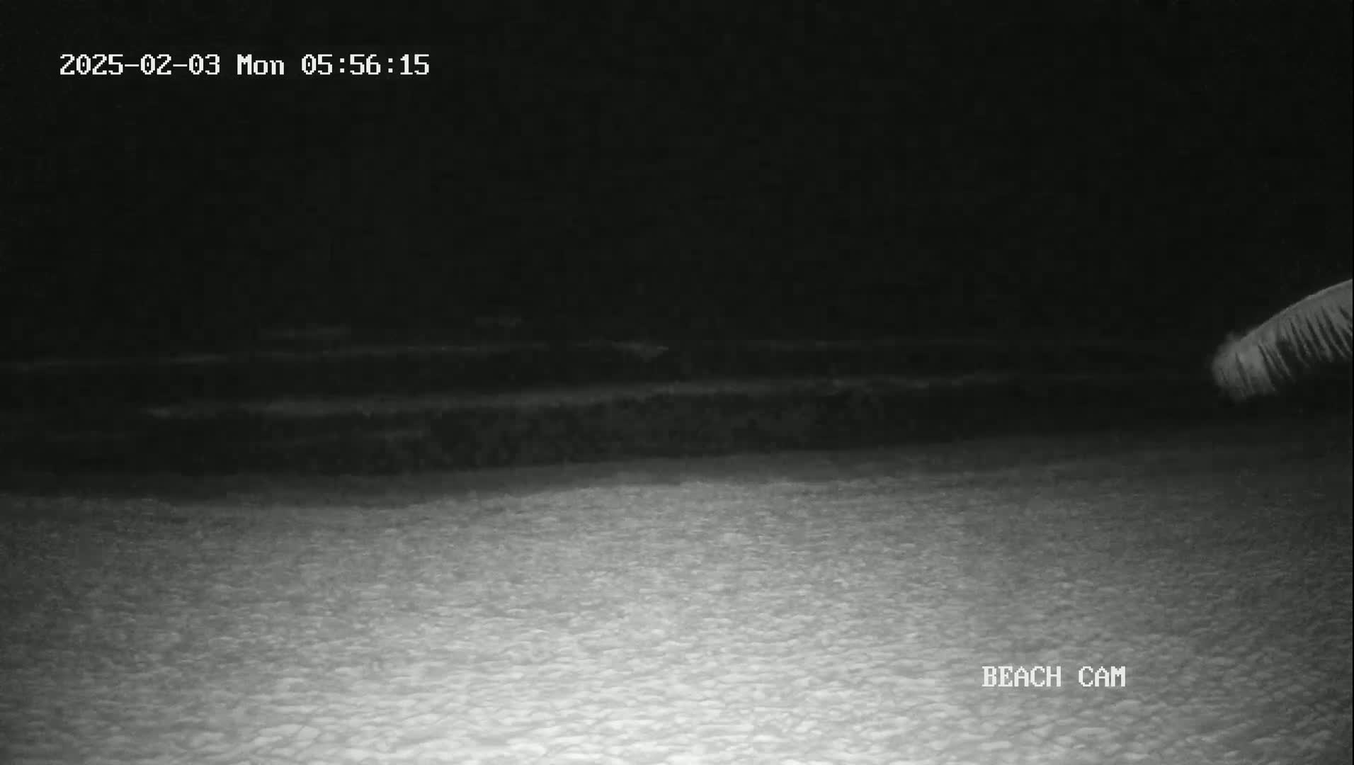 A nighttime beach scene shows dark water and a sandy shore under a clear, dark sky.