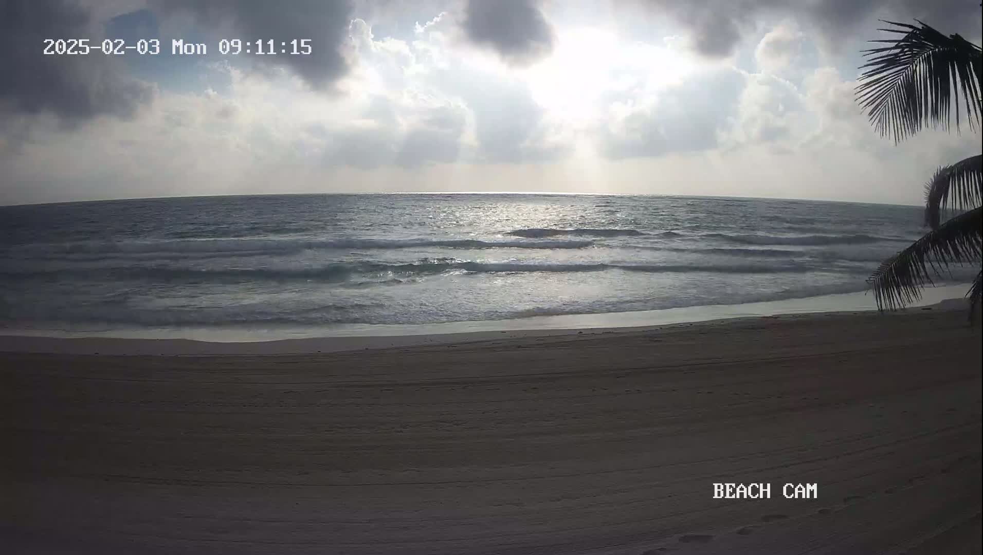 A mostly cloudy day reveals a partly sunny ocean with gentle waves lapping a sandy beach, partially obscured by palm fronds.