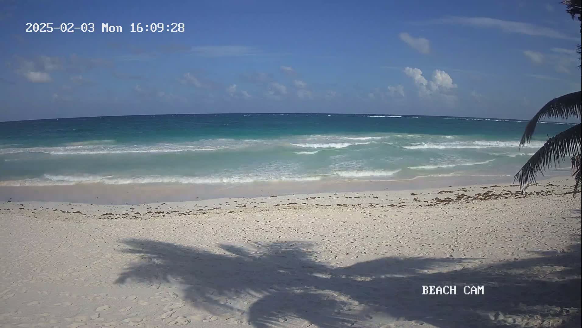 A mostly sunny day shows a white sand beach with light waves rolling onto the shore, partially shaded by a palm tree.