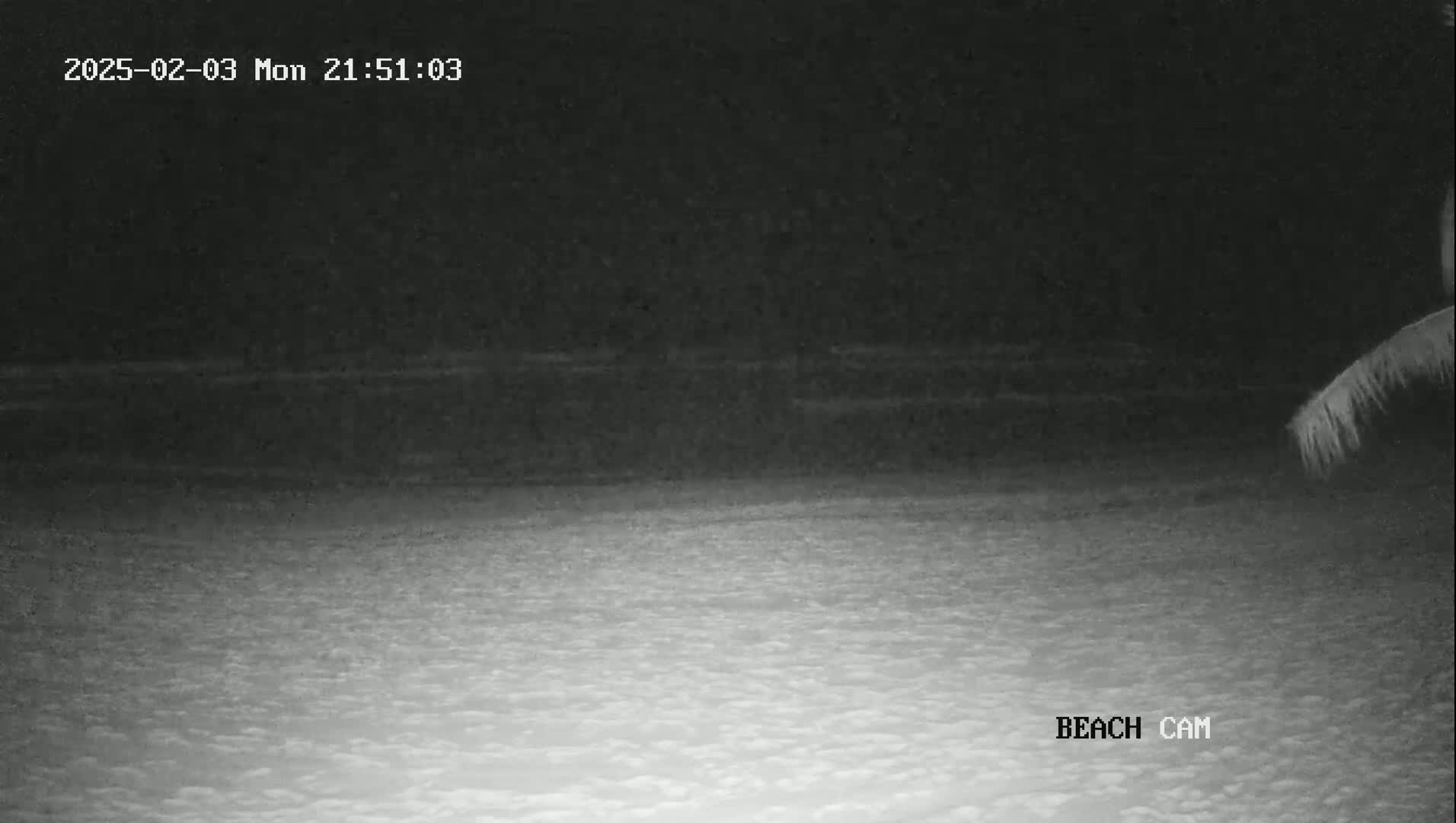 A nighttime beach scene shows dark water and a lighter-colored sandy shore under a dark sky.