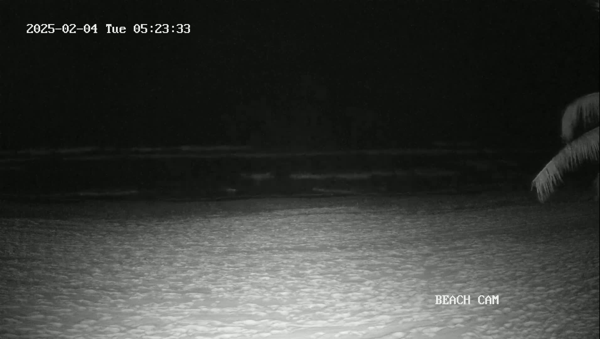 A nighttime beach scene shows dark water and a sandy shore under a dark sky, partially illuminated by a light source in the bottom left.
