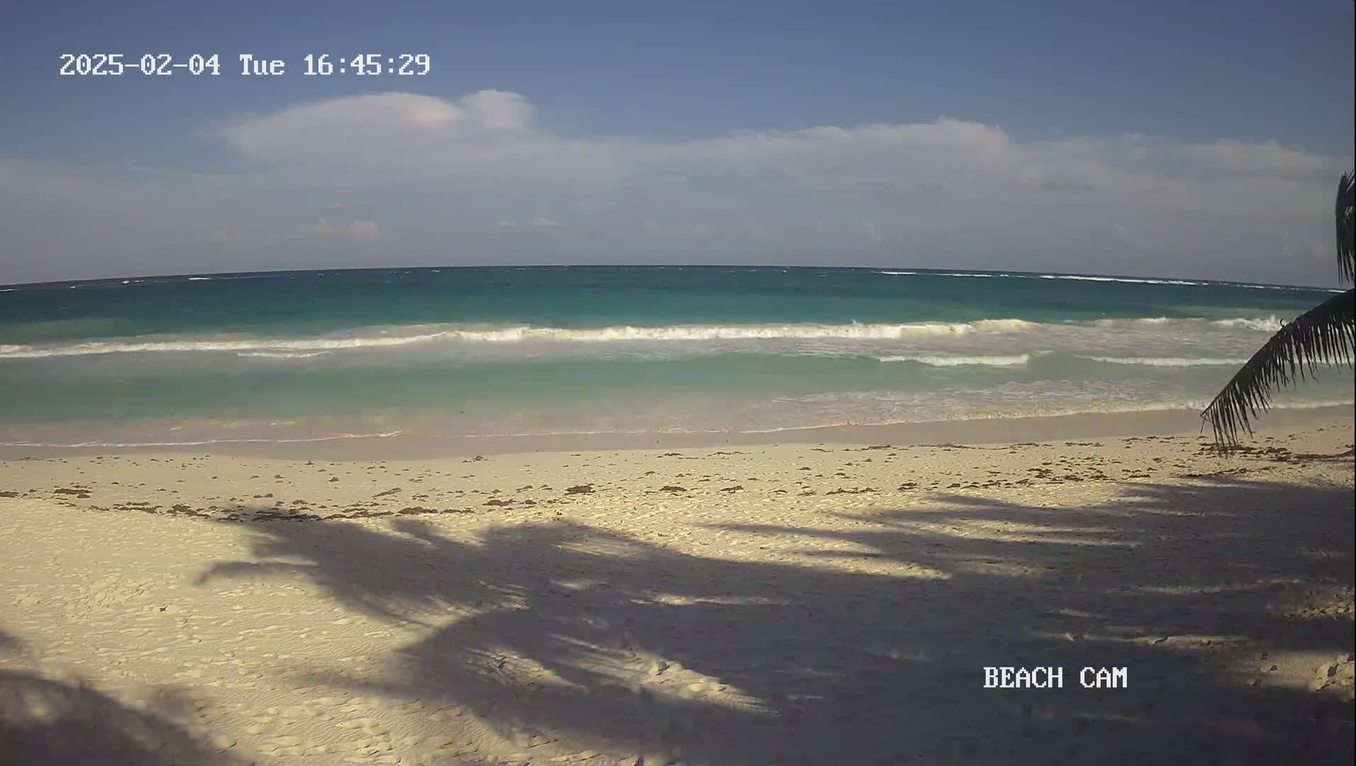 A sandy beach with small waves on a partly cloudy day is shown, with the shadows of palm trees cast on the sand.