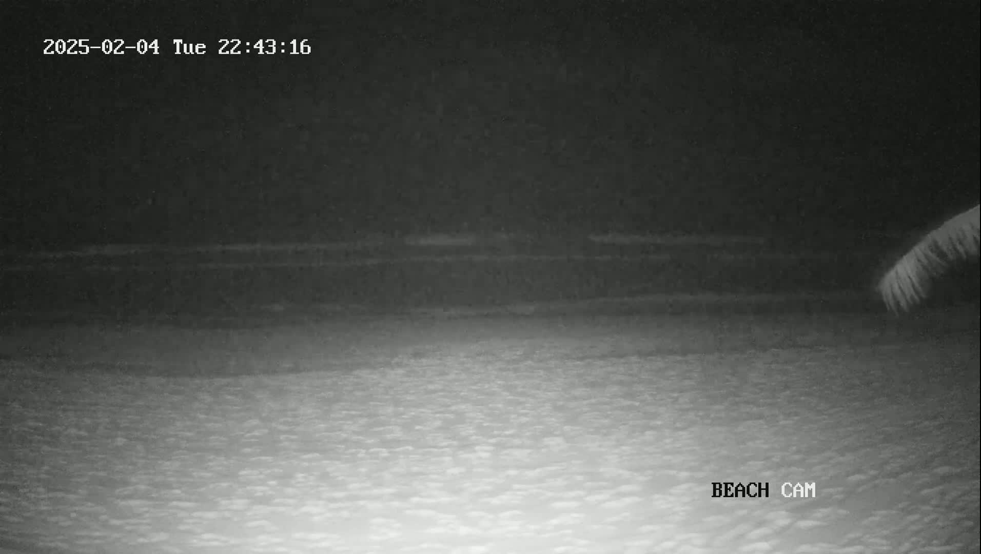 A nighttime beach scene shows dark water and sand under a dark sky.