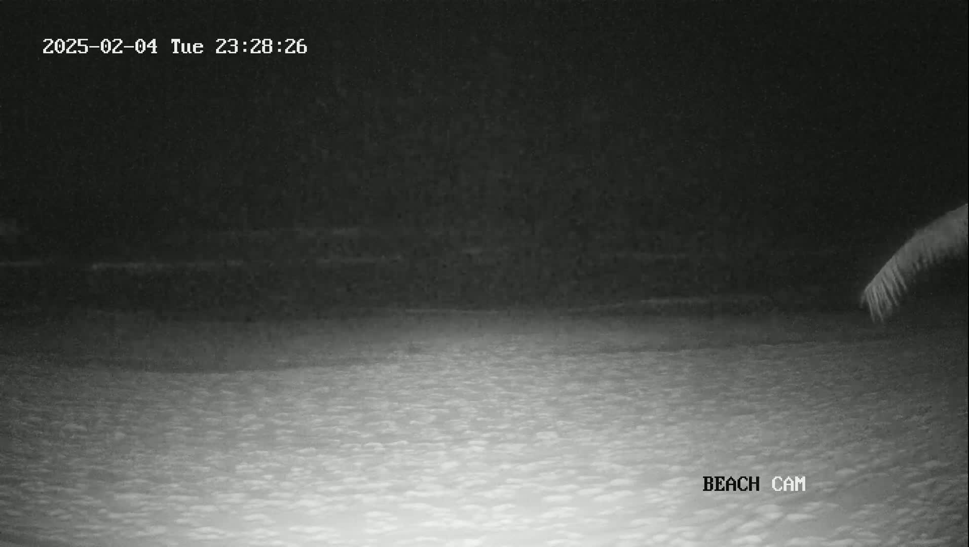 A nighttime beach scene shows dark water and a sandy shore under a dark sky.
