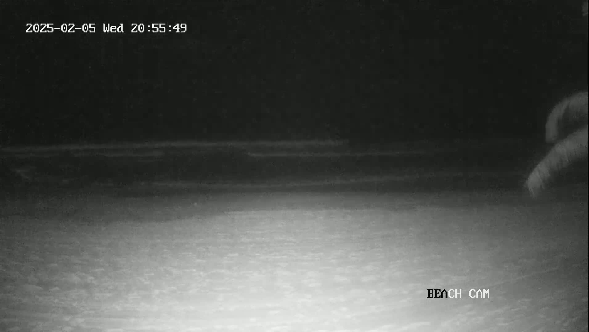 A nighttime beach scene shows dark water and a light-colored sandy shore under a clear, dark sky.