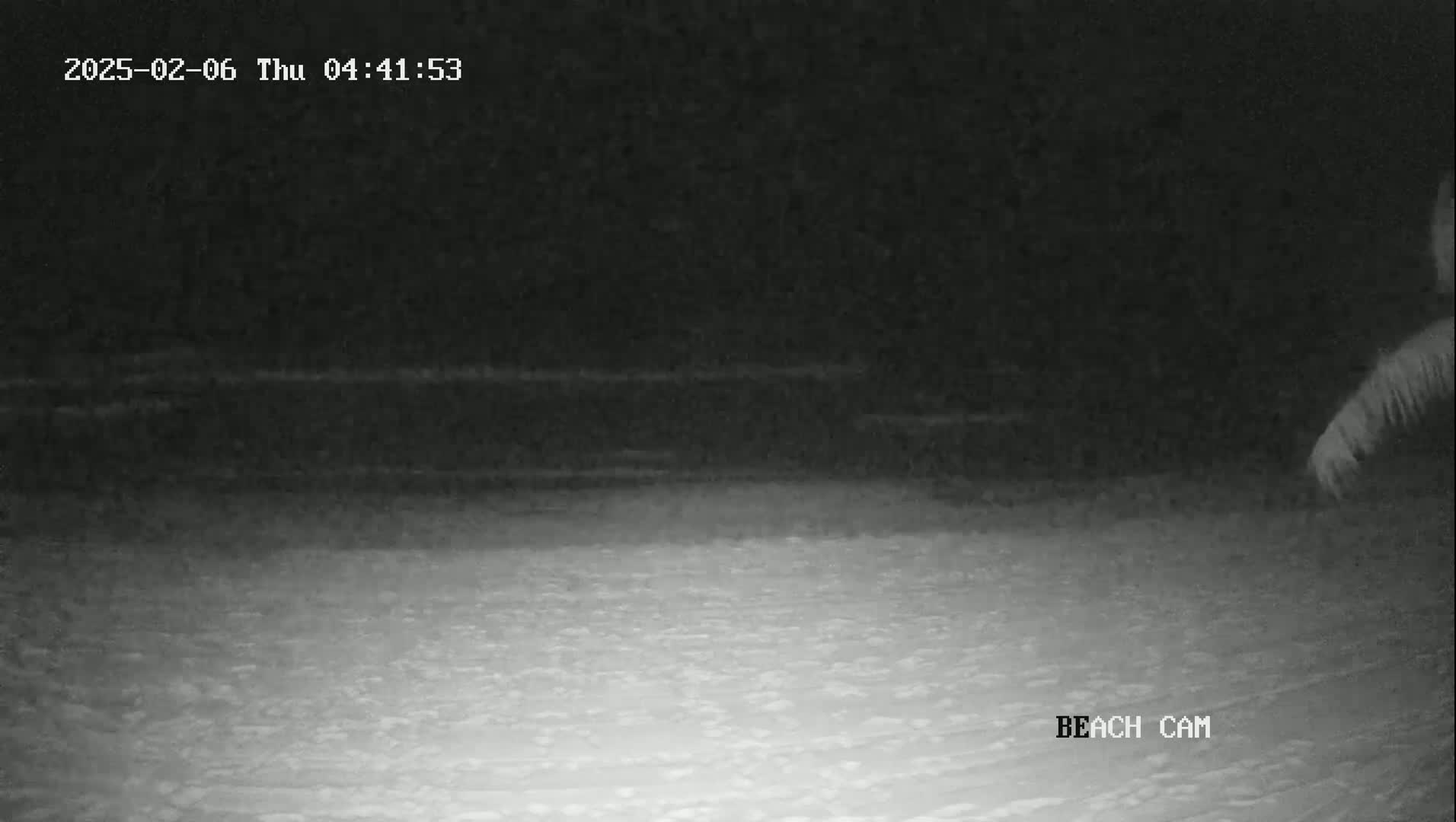 A dark, nighttime beach scene shows a mostly calm ocean and a shoreline under a clear sky.