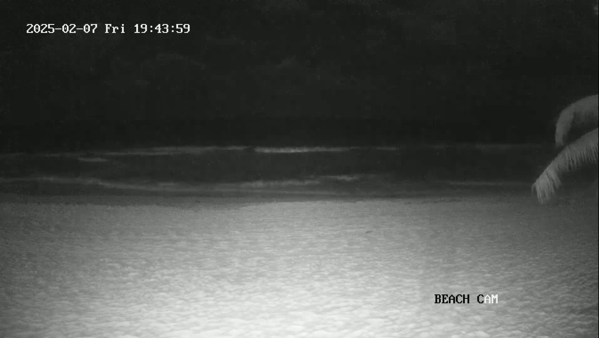 A nighttime beach scene shows dark water lapping a sandy shore under a clear, dark sky, with a portion of a palm tree visible in the lower right corner.