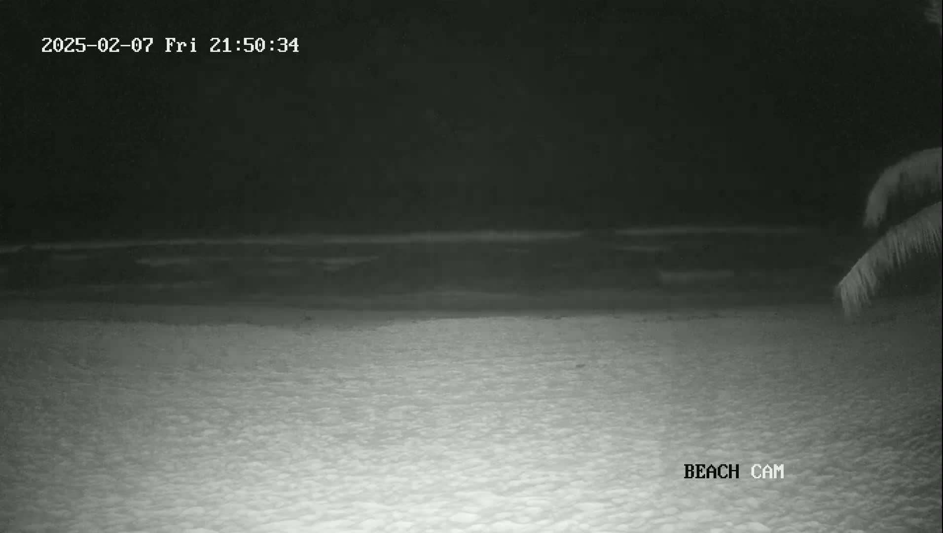 A nighttime beach scene shows dark water and a sandy shore under a dark sky.