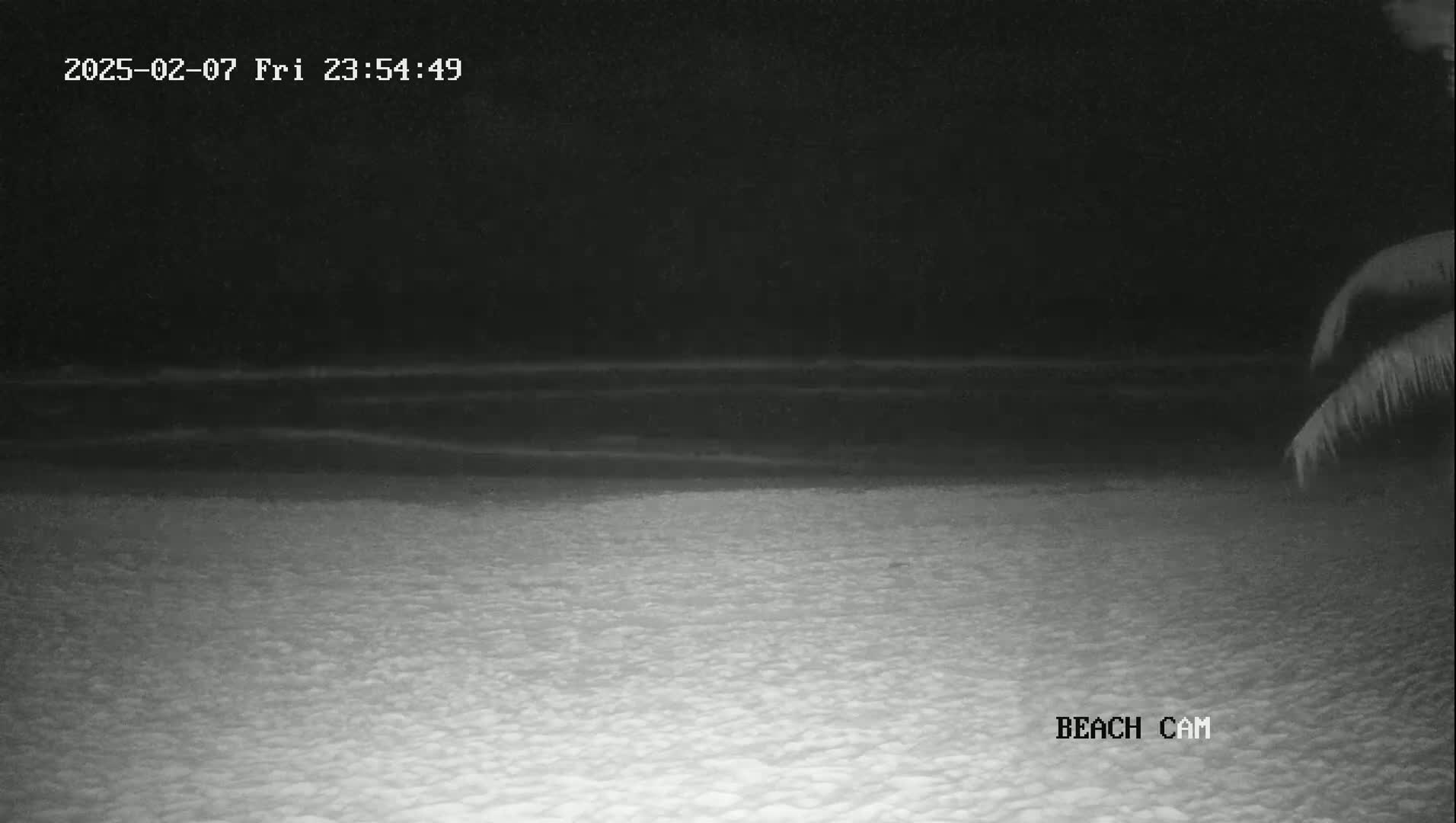 A nighttime beach scene shows dark water lapping a sandy shore under a clear, dark sky, with the top of a palm tree visible in the upper right corner.