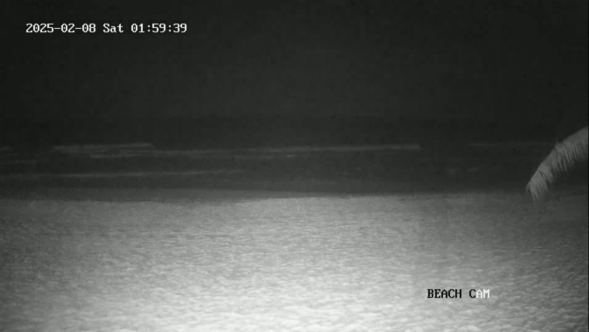 A nighttime beach scene shows dark water and a sandy shore under a clear, dark sky.