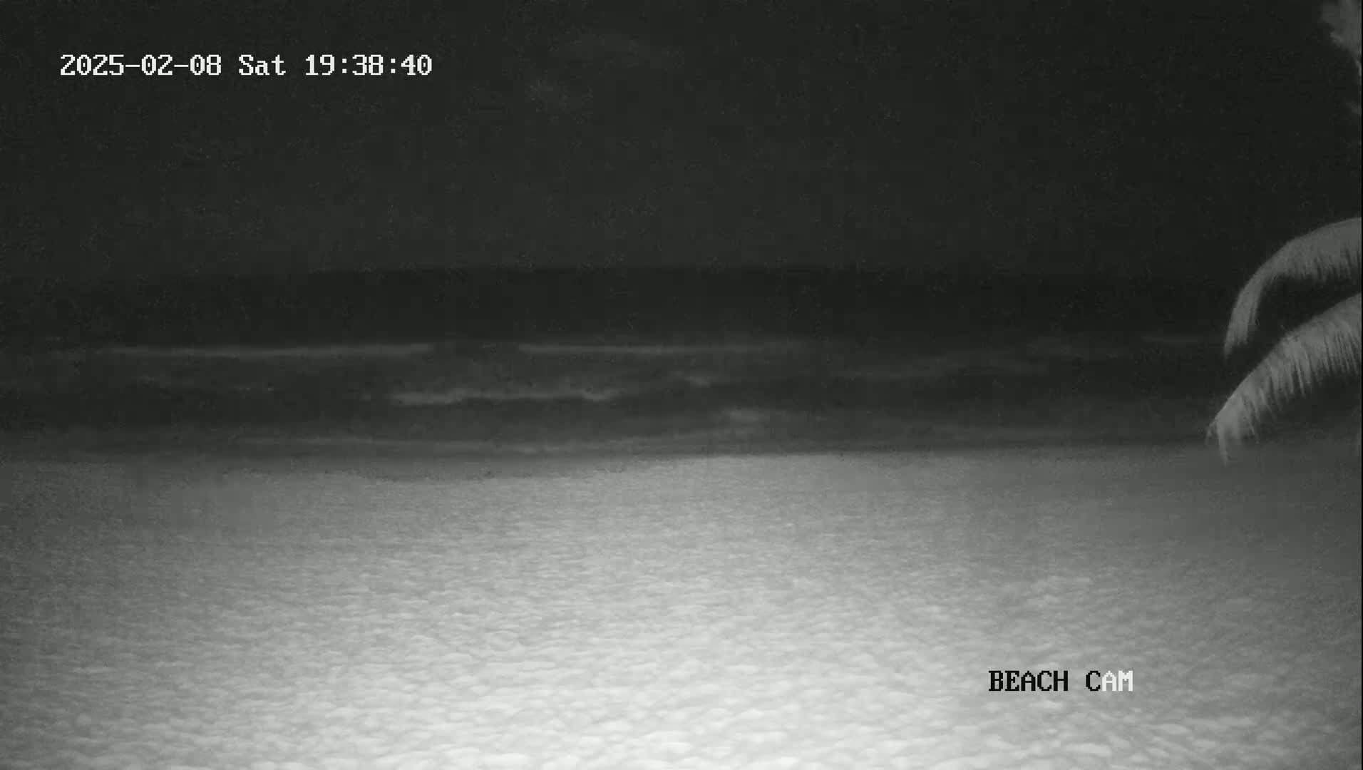 A dark, nighttime beach scene shows gently rolling waves meeting a sandy shore, partially obscured by the darkness, with palm fronds visible in the upper right corner.
