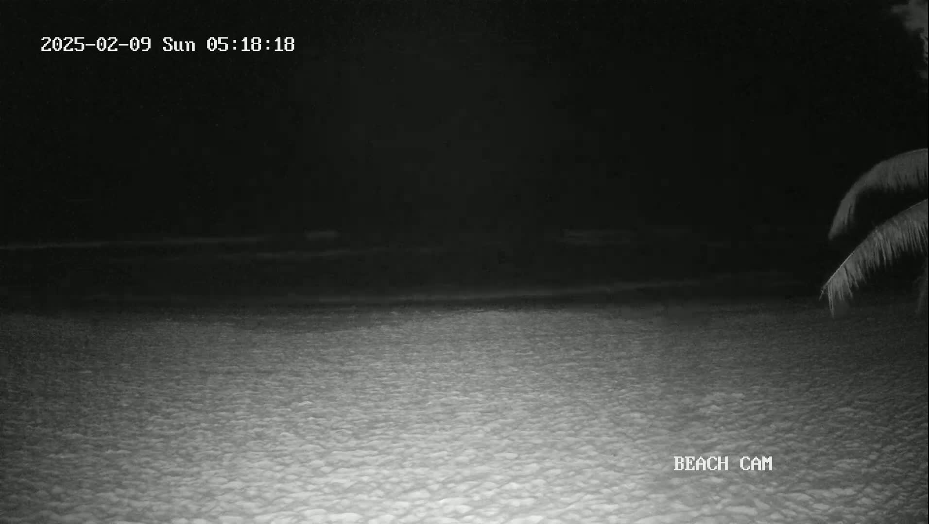 A nighttime beach scene shows dark water gently lapping a sandy shore, partially illuminated by a light source near the bottom.