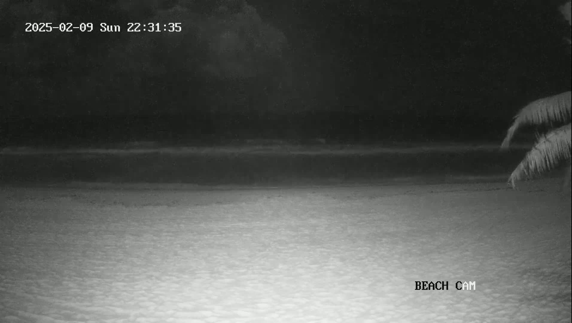 A dark, nighttime beach scene shows a calm ocean and sandy shore, partially obscured by low-light conditions.