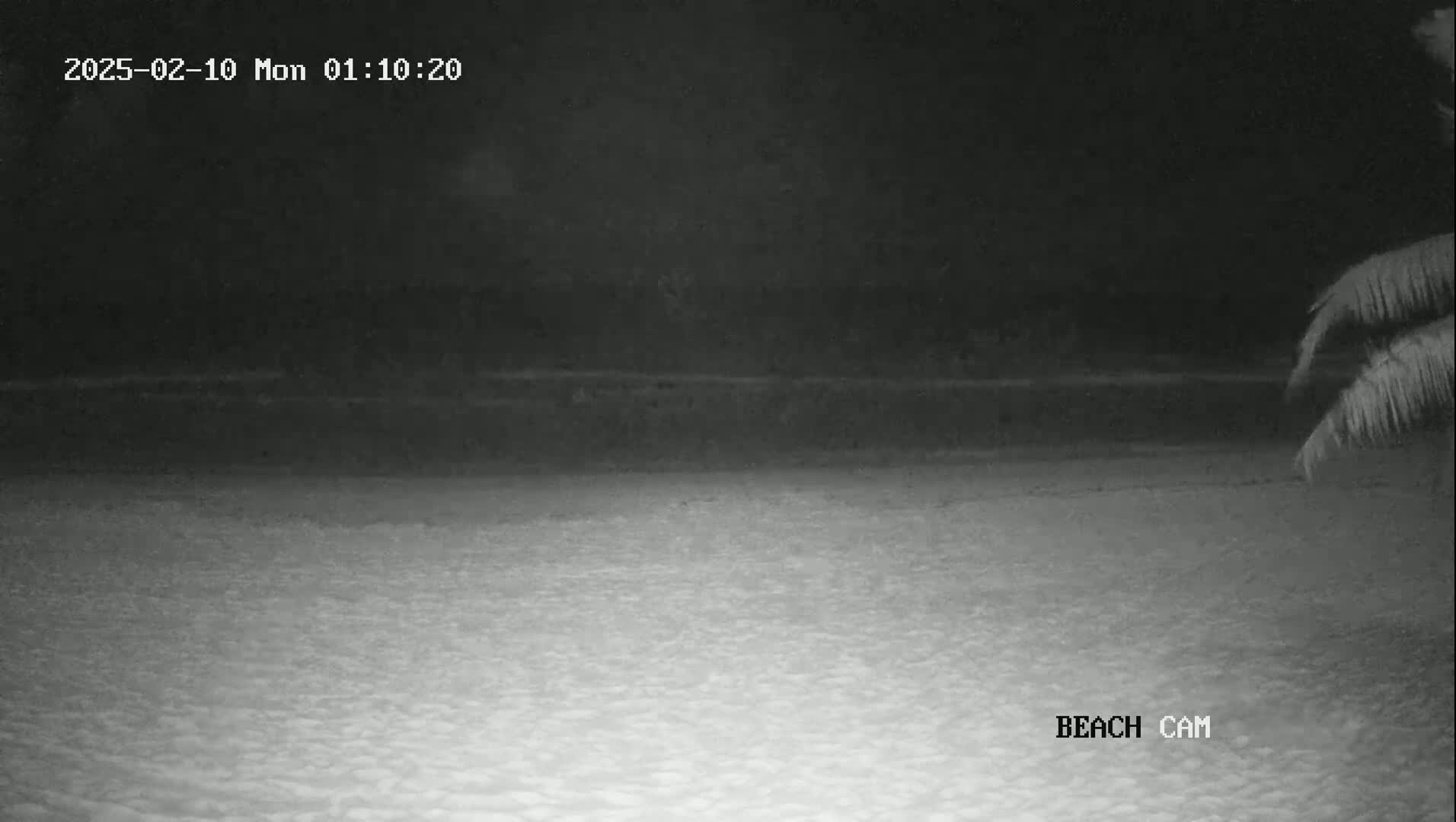 A nighttime beach scene is shown, with dark water and sand visible under a dark sky.