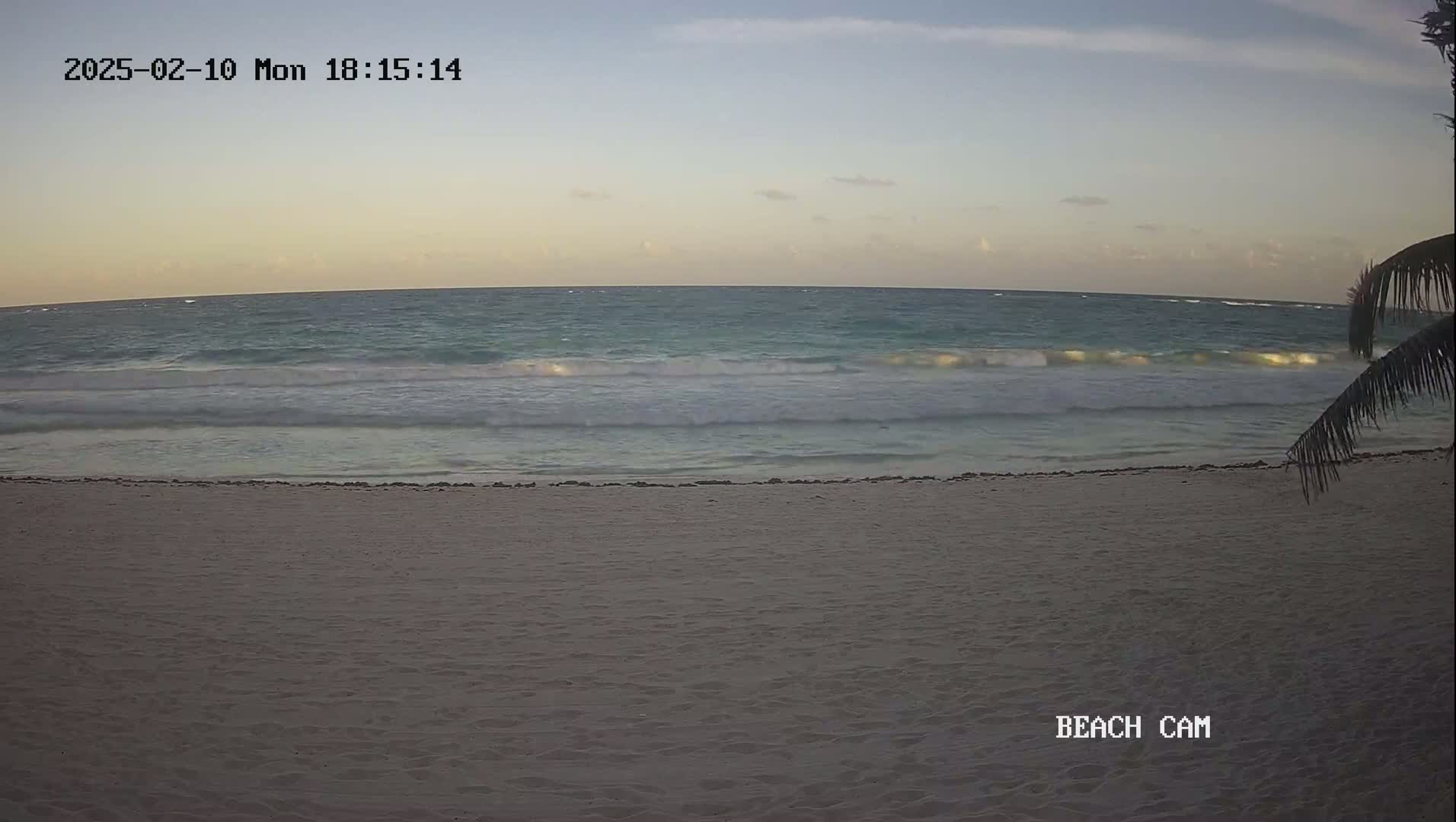 A sandy beach with gentle waves under a mostly clear, twilight sky is visible, with a portion of a palm tree in the bottom right corner.