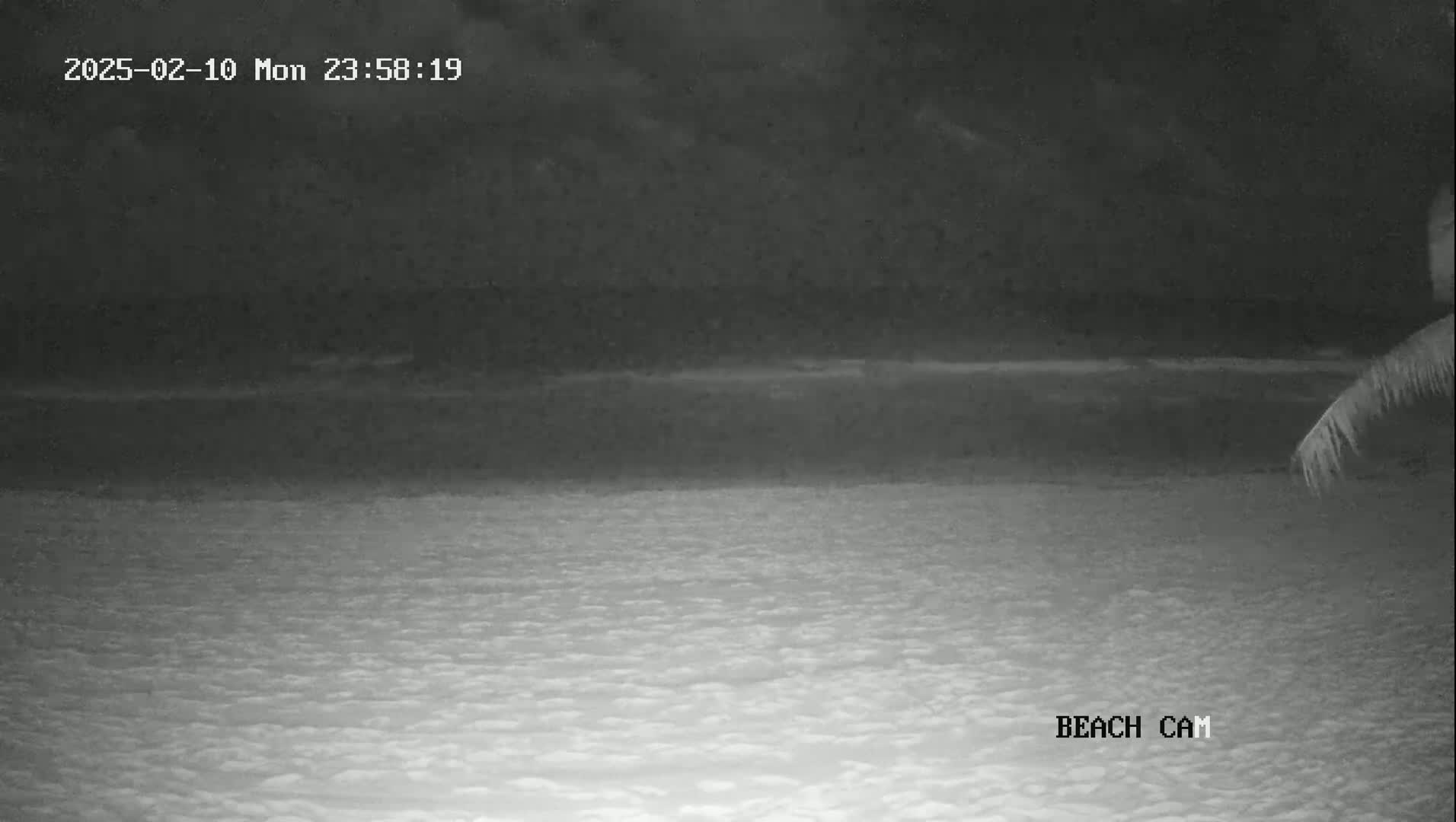 A nighttime beach scene is shown with a dark sky and calm water.