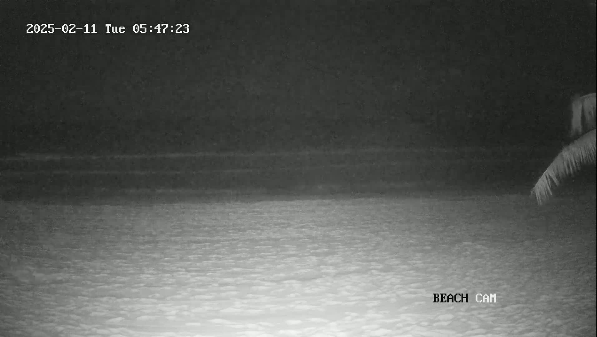 A nighttime beach scene is shown with a dark ocean and sand under a clear sky.