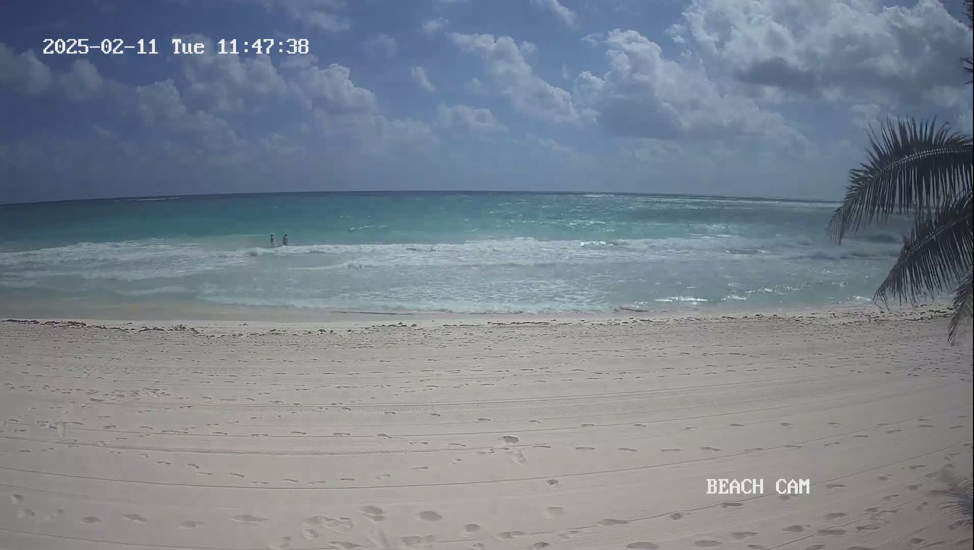 A mostly sunny day at a beach shows two people in the ocean, gentle waves lapping at a white sand shore with footprints, partially obscured by a palm tree in the foreground.