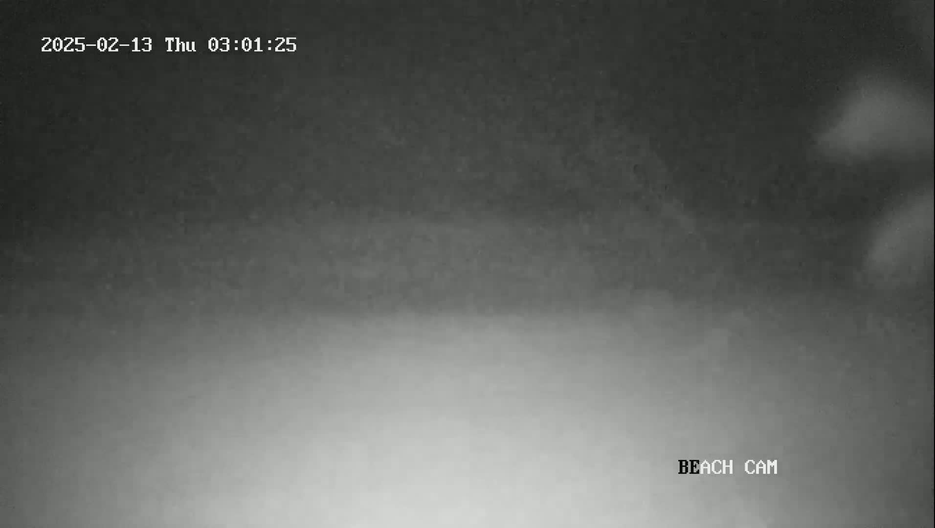 A dark, foggy scene is visible at night.