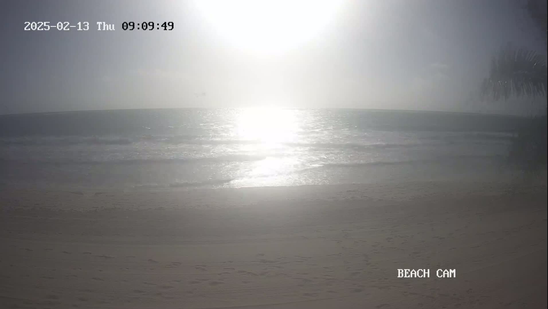 A bright, hazy sun shines over a calm ocean meeting a sandy beach.