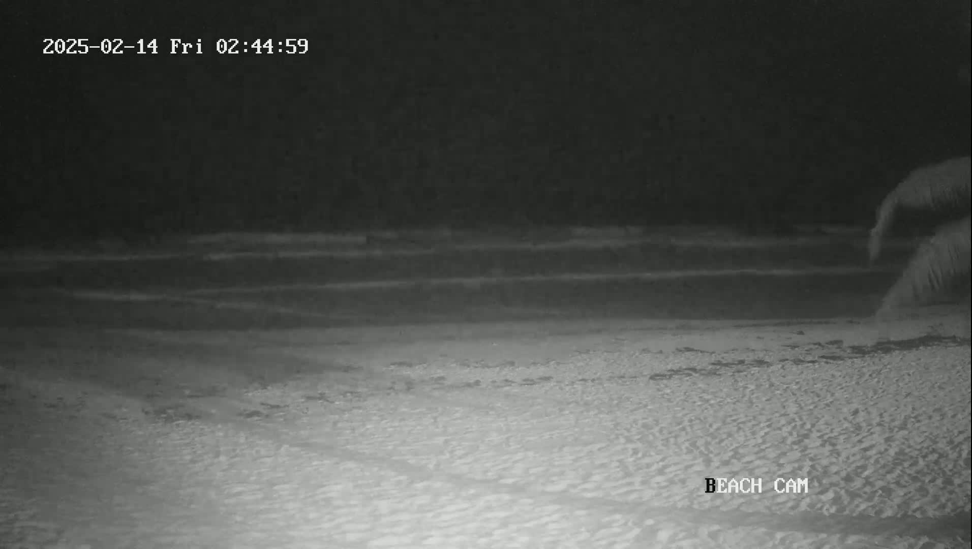 A nighttime beach scene shows dark water with small waves lapping onto a sandy shore.