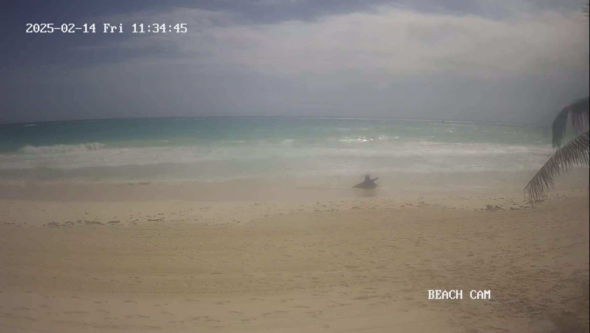 A mostly cloudy day shows a sandy beach with a piece of driftwood near the water's edge, and light waves rolling onto the shore.
