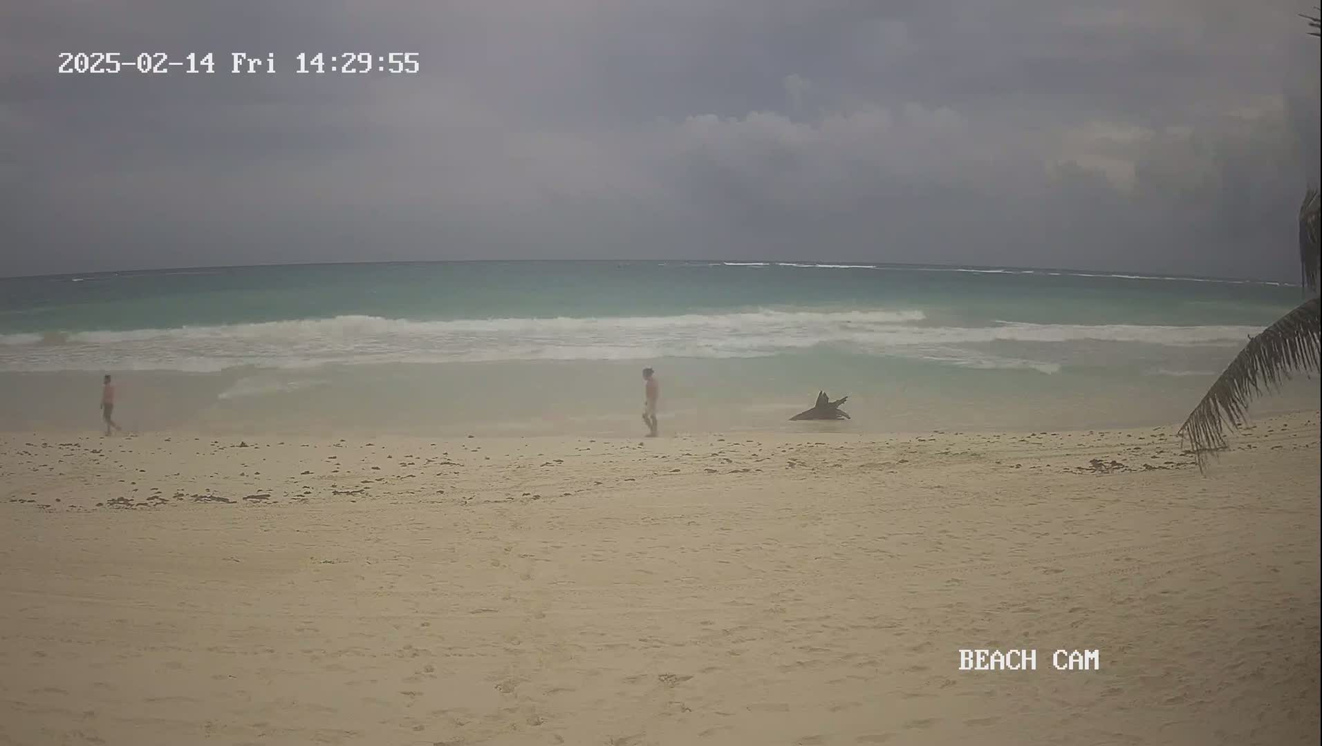 A mostly cloudy day shows a sandy beach with a few people and a piece of driftwood near the water's edge.