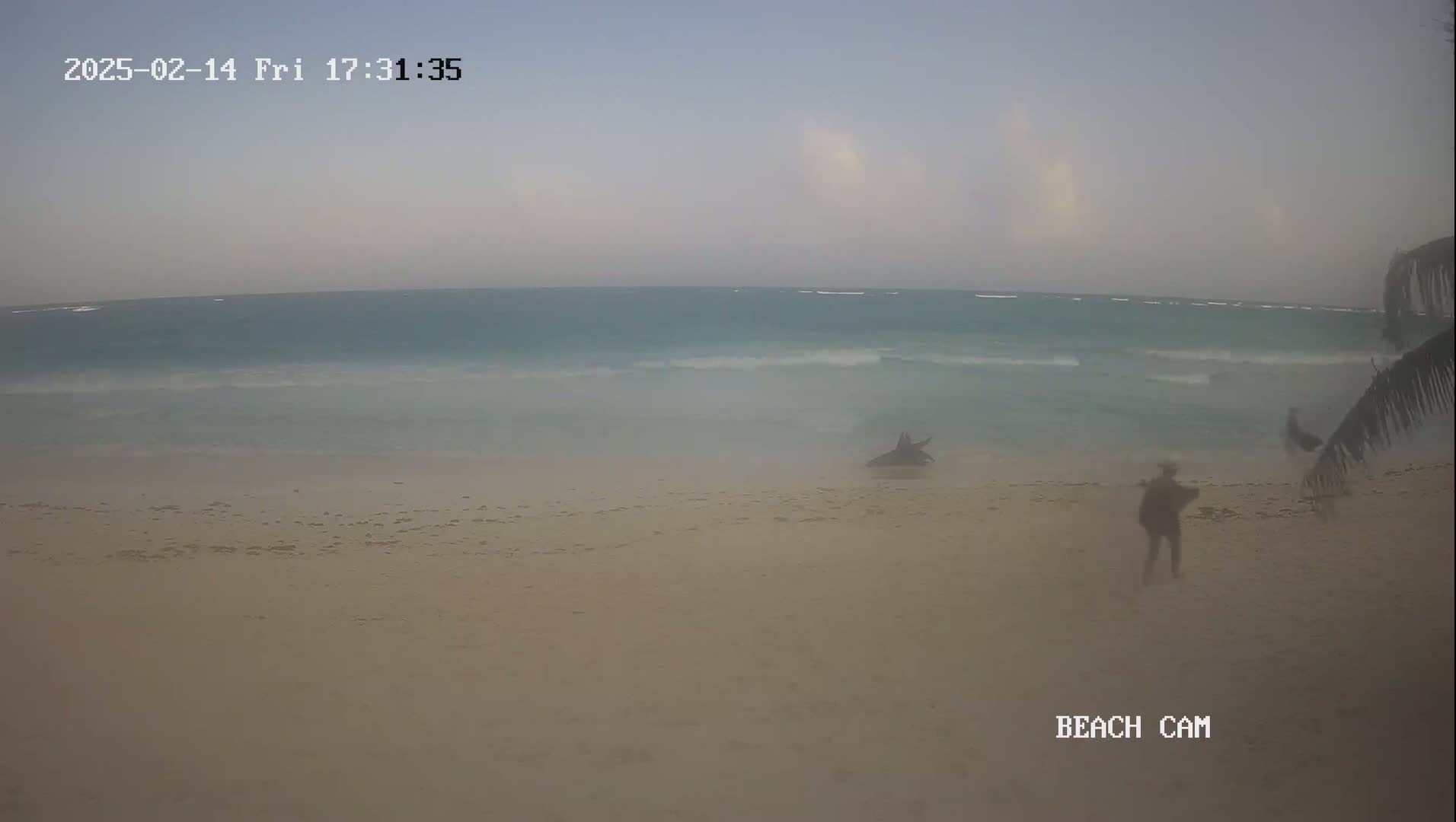 A hazy beach scene shows a person walking on a sandy shore near calm, teal-colored ocean waves.