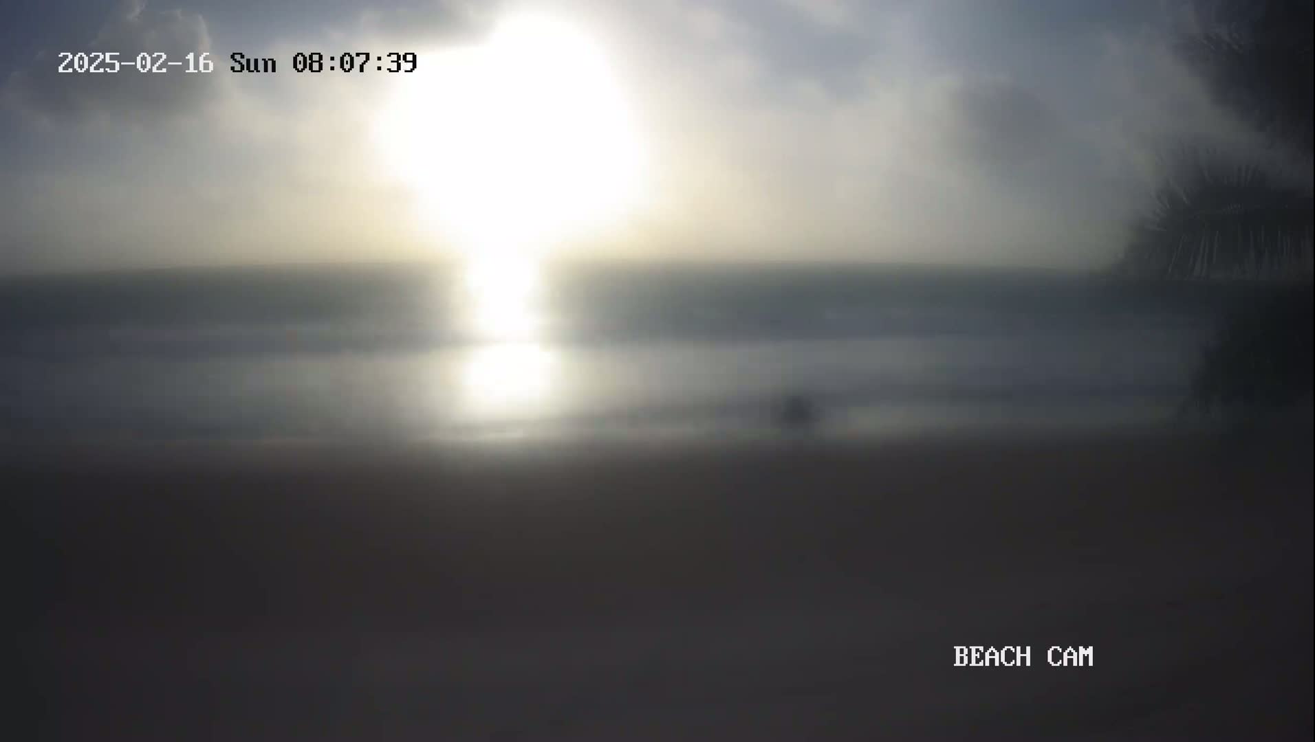 A hazy sunrise over a calm ocean beach is visible from a slightly elevated perspective.