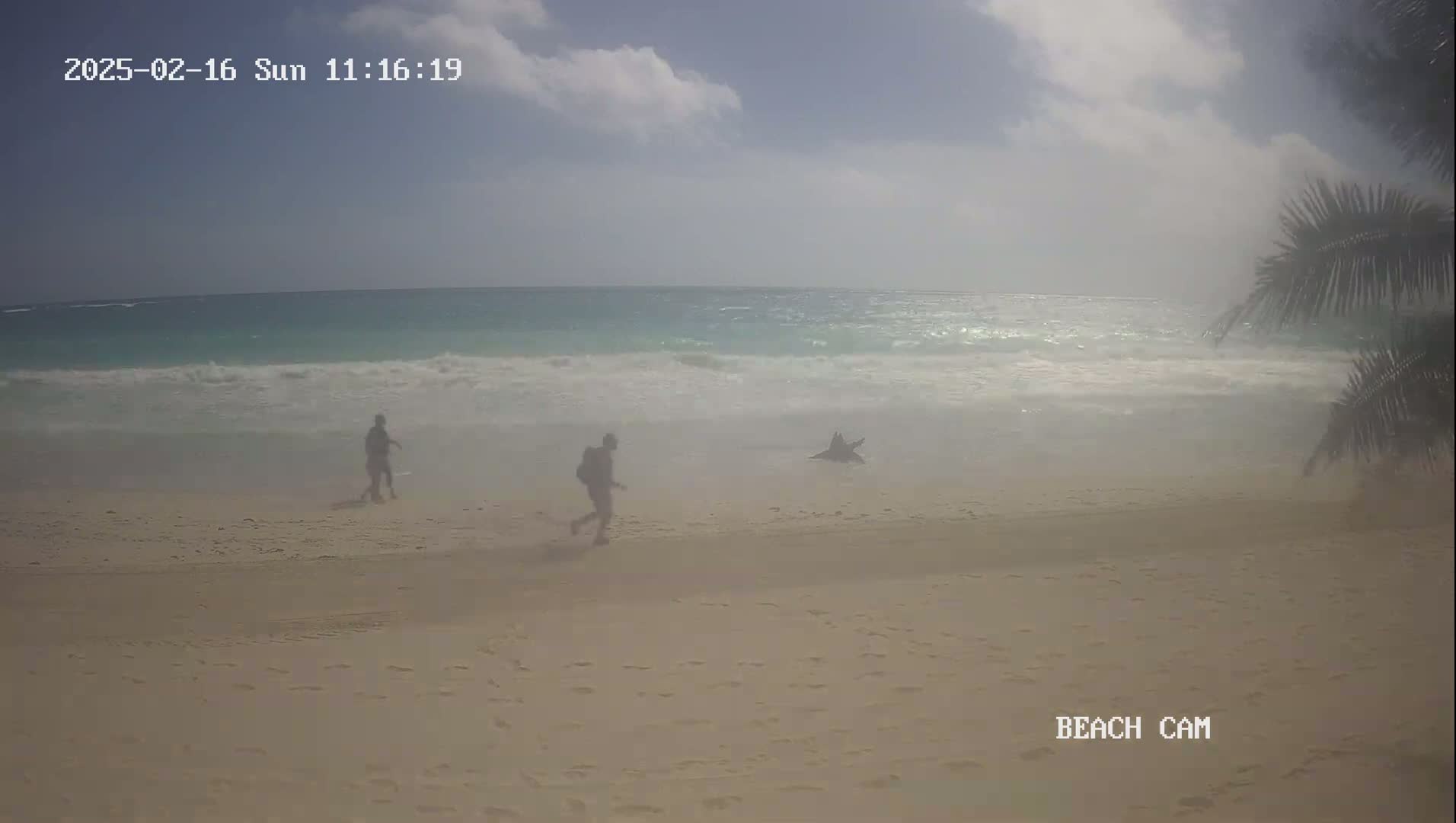 Two people walk on a sandy beach toward a partially submerged piece of driftwood near moderately wavy turquoise water under a partly cloudy sky.