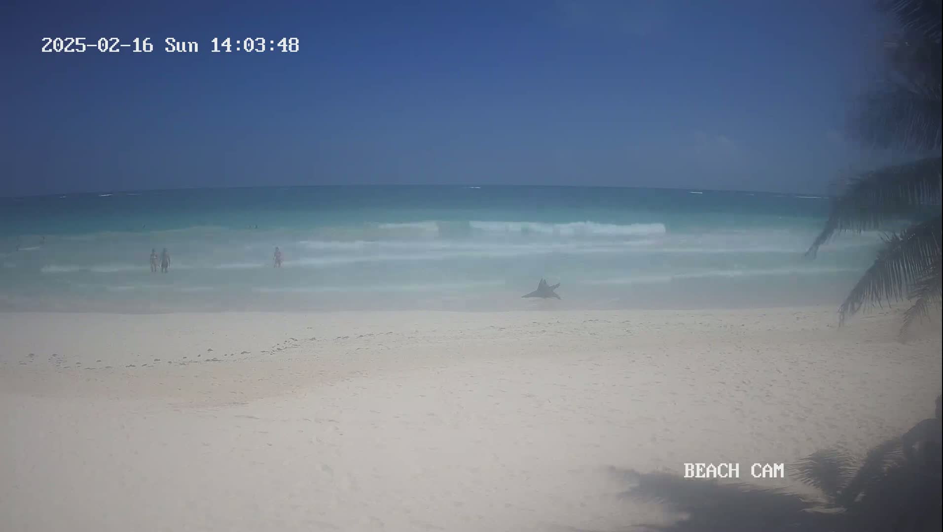 A mostly sunny beach scene shows a few people in the water and on the sand, with gentle waves lapping the shore under a clear blue sky.