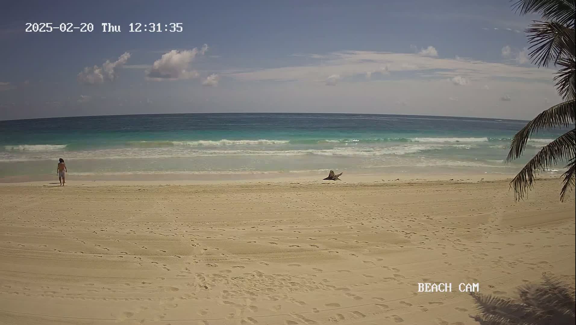 A person walks along a sandy beach toward a turquoise ocean under a mostly sunny sky.