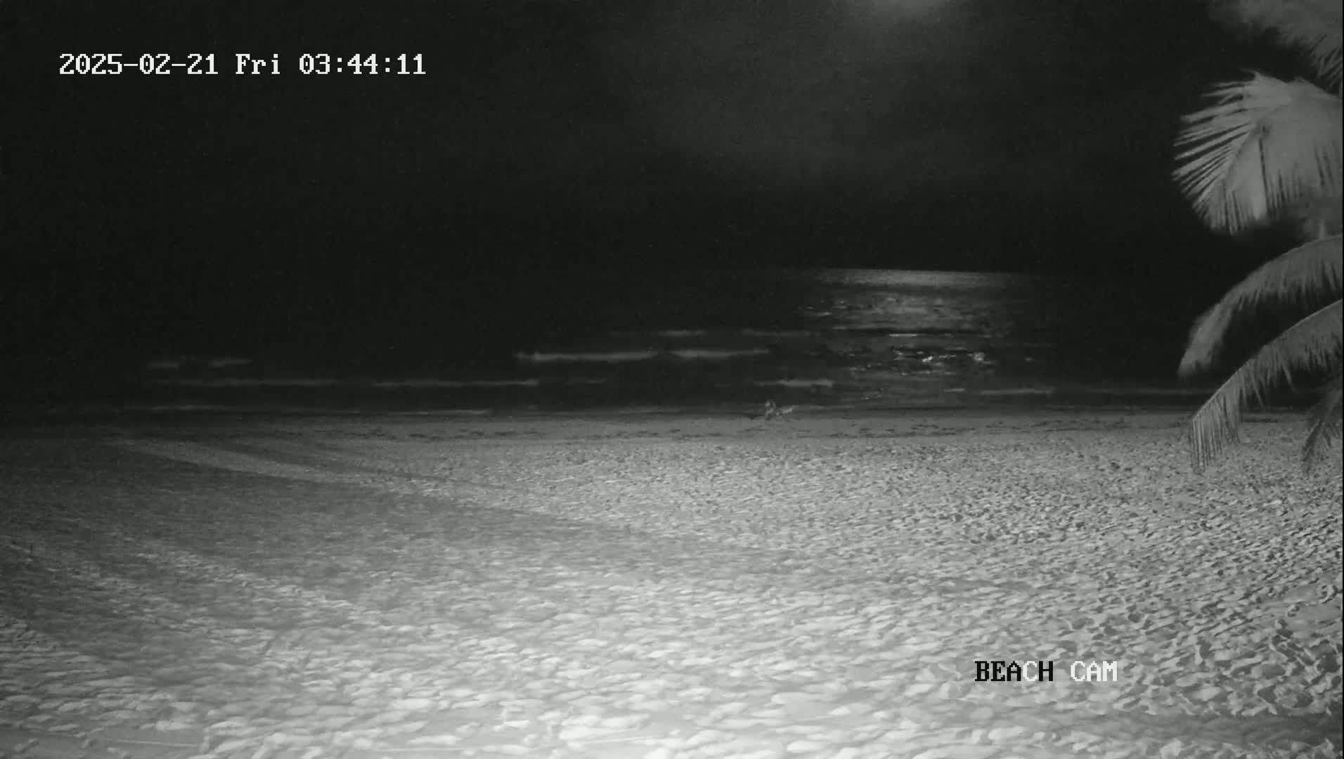 A dark, sandy beach at night with gentle waves lapping the shore under a mostly cloudy sky, partially illuminated by the moon.