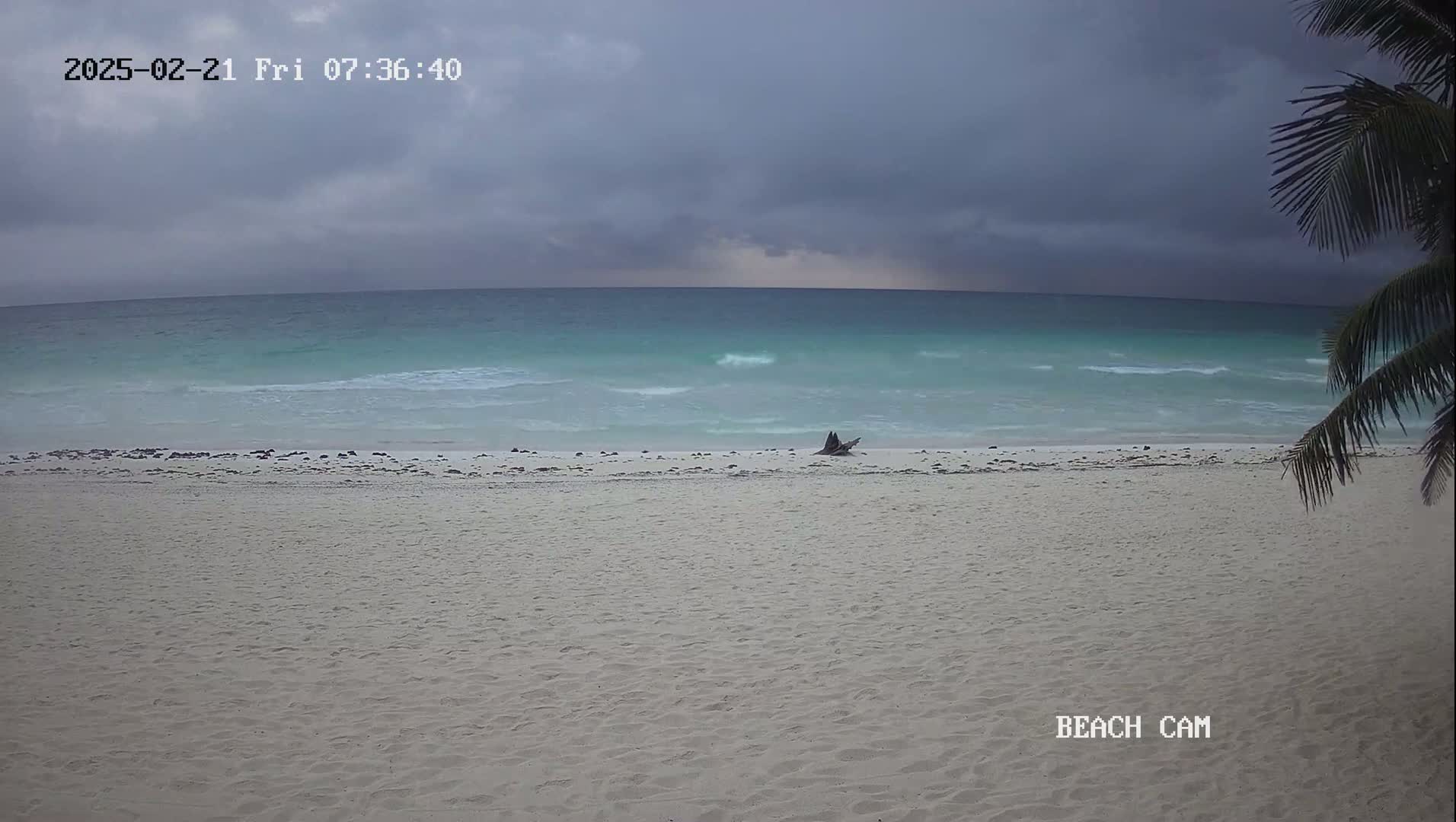 A sandy beach with calm, teal water under an overcast sky, partially obscured by palm fronds in the corner.