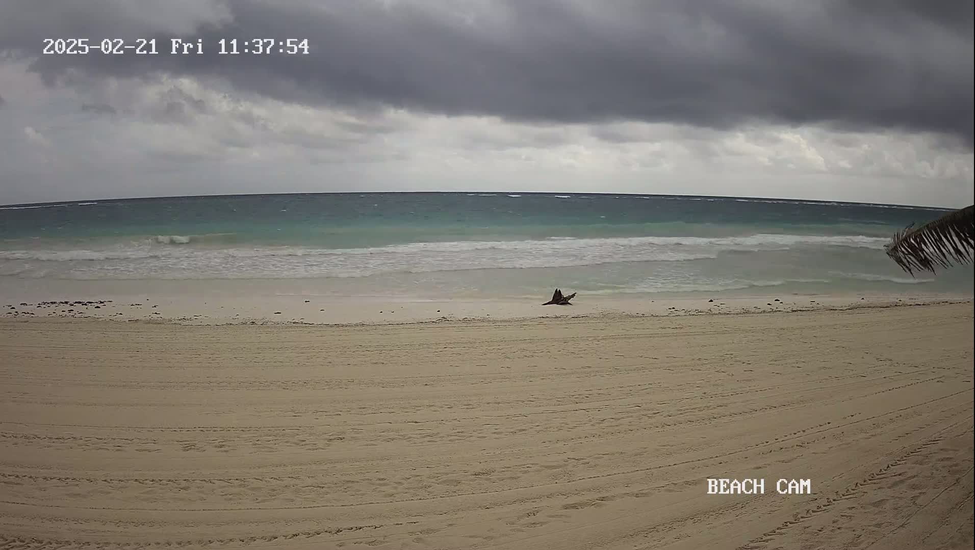 A sandy beach with small waves under a cloudy sky shows a piece of driftwood near the waterline.