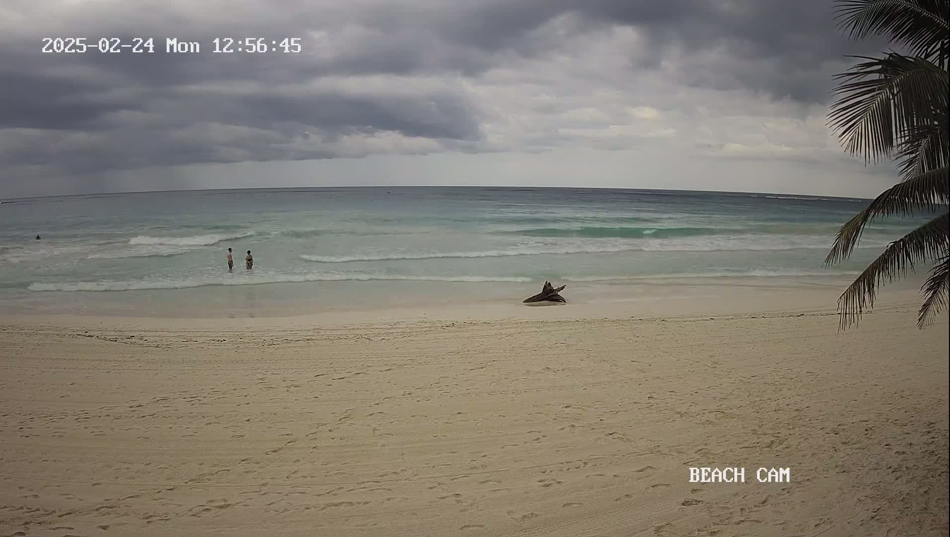 A sandy beach with two people in the water, a piece of driftwood on the shore, and a partly cloudy sky.