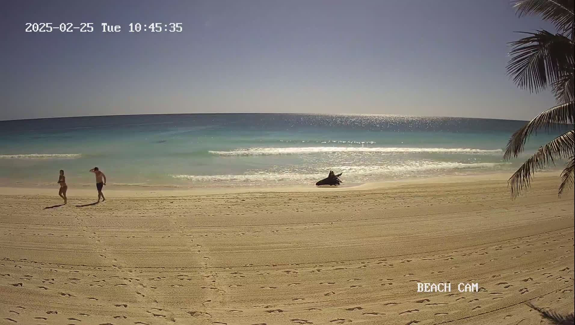 A sandy beach with a calm, turquoise ocean under a clear, sunny sky features two people walking and a dark object on the shore near the water's edge, partially obscured by the waves.