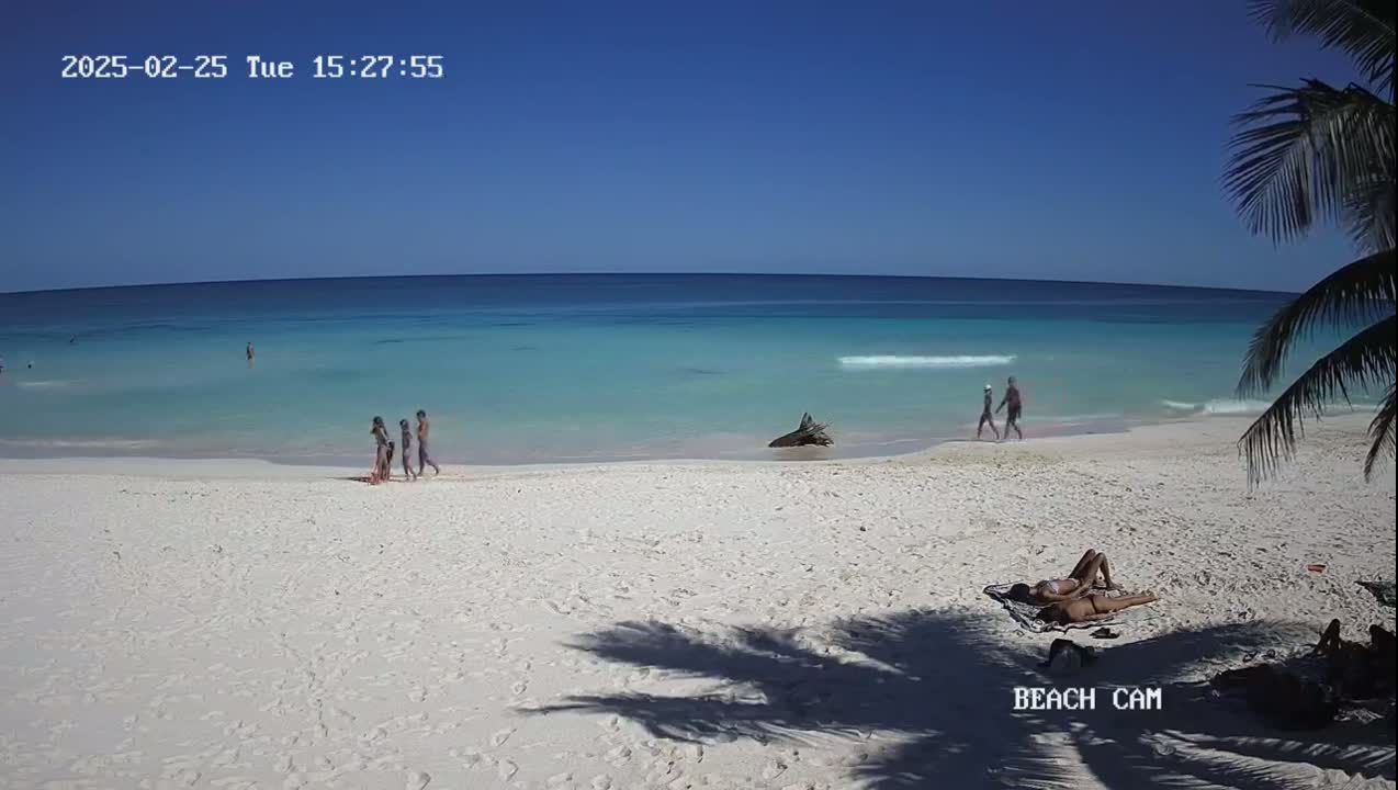 A white sand beach with turquoise water under a clear blue sky shows several people walking and sunbathing, with a palm tree partially obscuring the view.