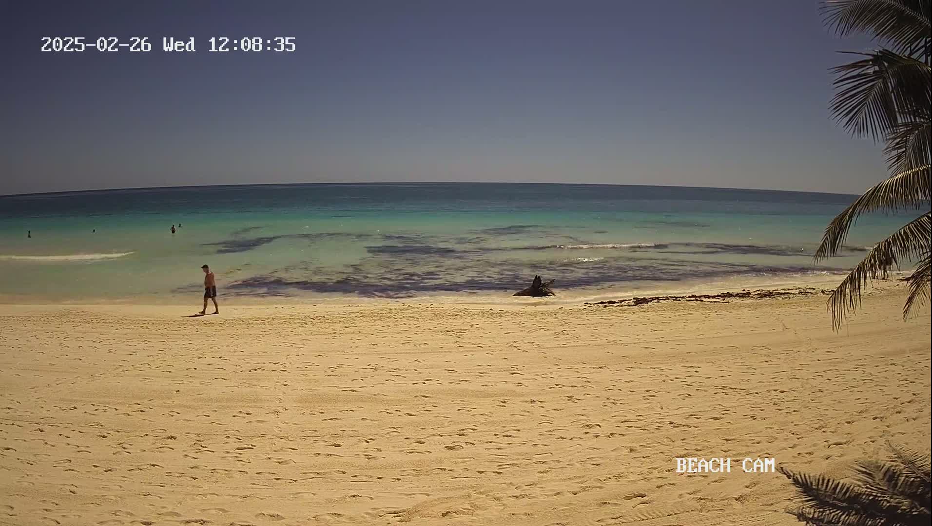 A sandy beach with a calm, turquoise ocean stretches to a clear sky under sunny conditions, with a few people visible in the distance and a man walking on the beach.