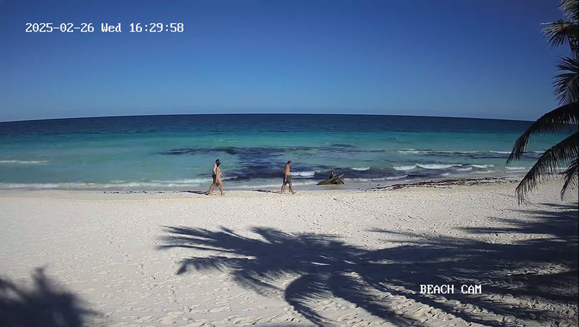 Two people walk along a white sand beach next to a calm, turquoise ocean under a clear blue sky.