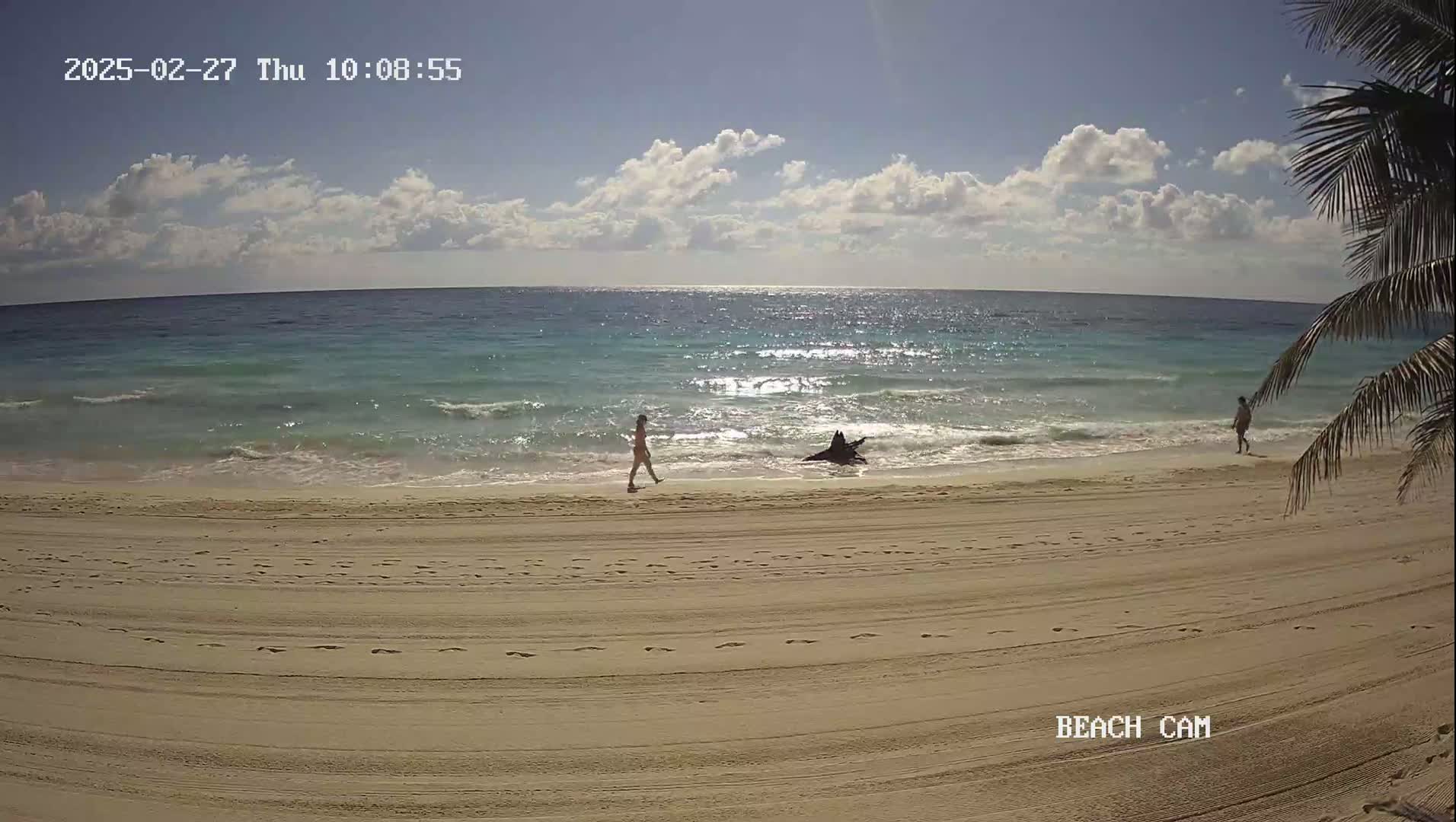 A sandy beach with calm, turquoise water under a partly cloudy sky features two people walking near the water's edge and a piece of driftwood on the sand.