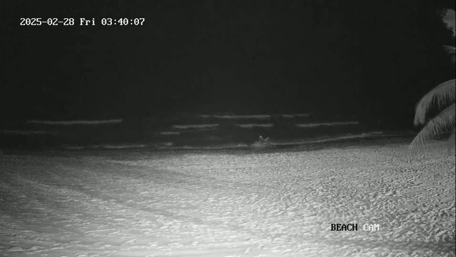 A dark beach at night with small waves lapping the shore under a clear sky, partially illuminated by a light source.