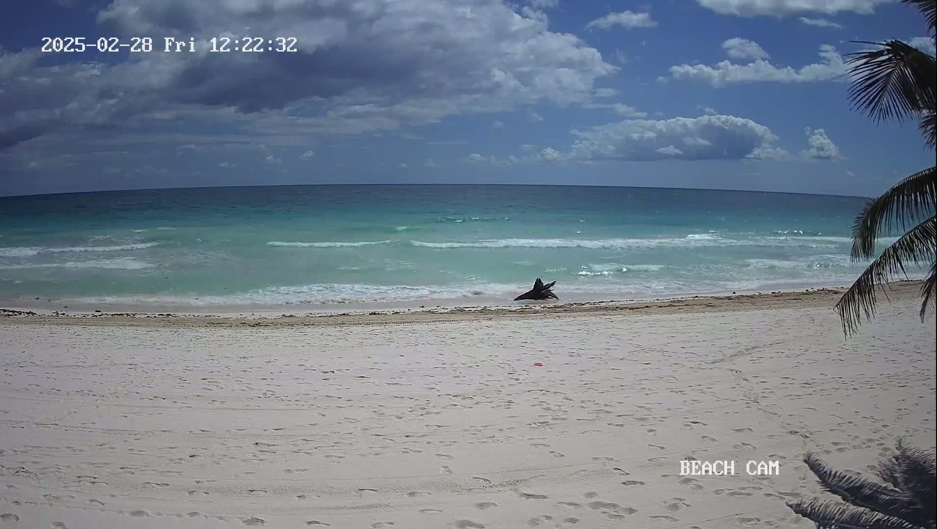 A partly cloudy day shows a mostly calm turquoise ocean lapping at a white sand beach with a piece of driftwood near the waterline.